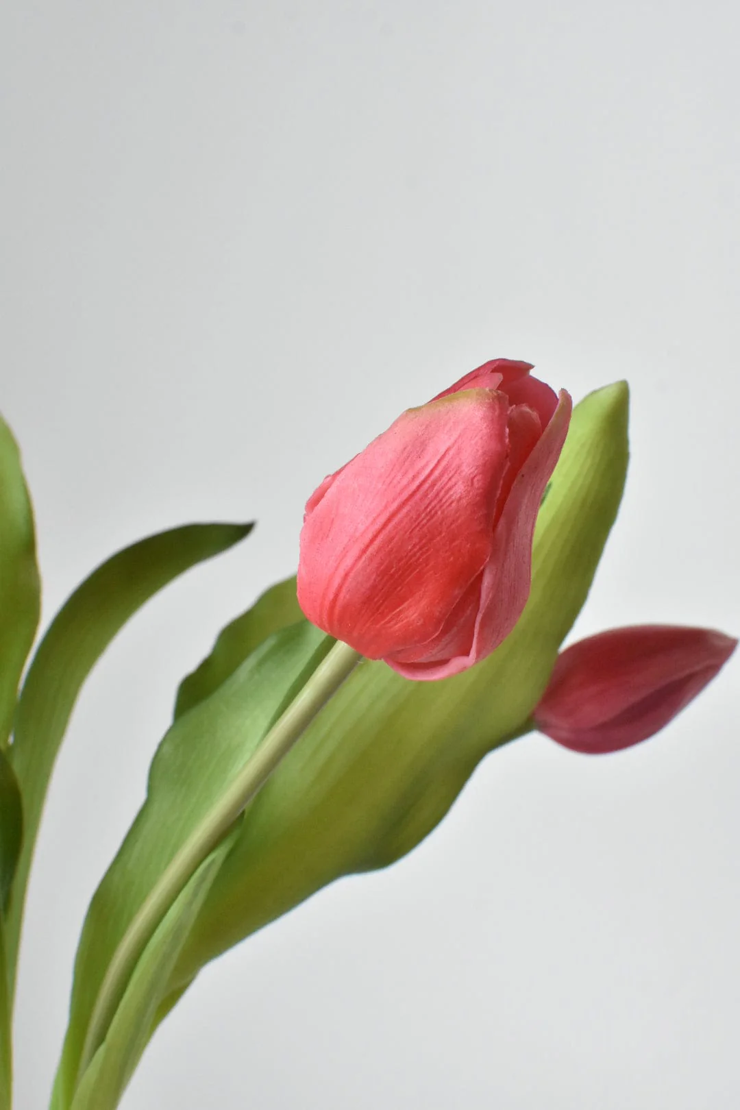 House by JSD 11.75" Faux Real Touch Dark Pink 7 Stem Tulip Bundle - Image 5