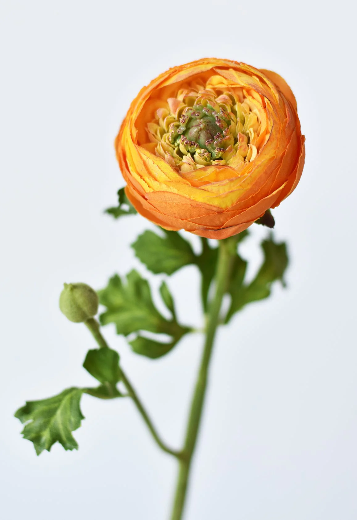 13" Faux Orange Ranunculus Stem - Image 3
