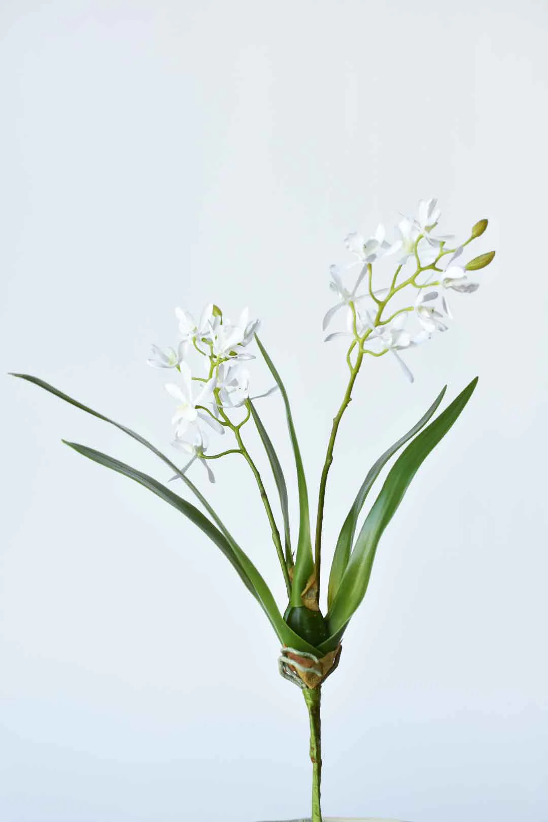 House of JSD 16" Faux Mini Orchid Stem with Leaves & Roots - Image 2