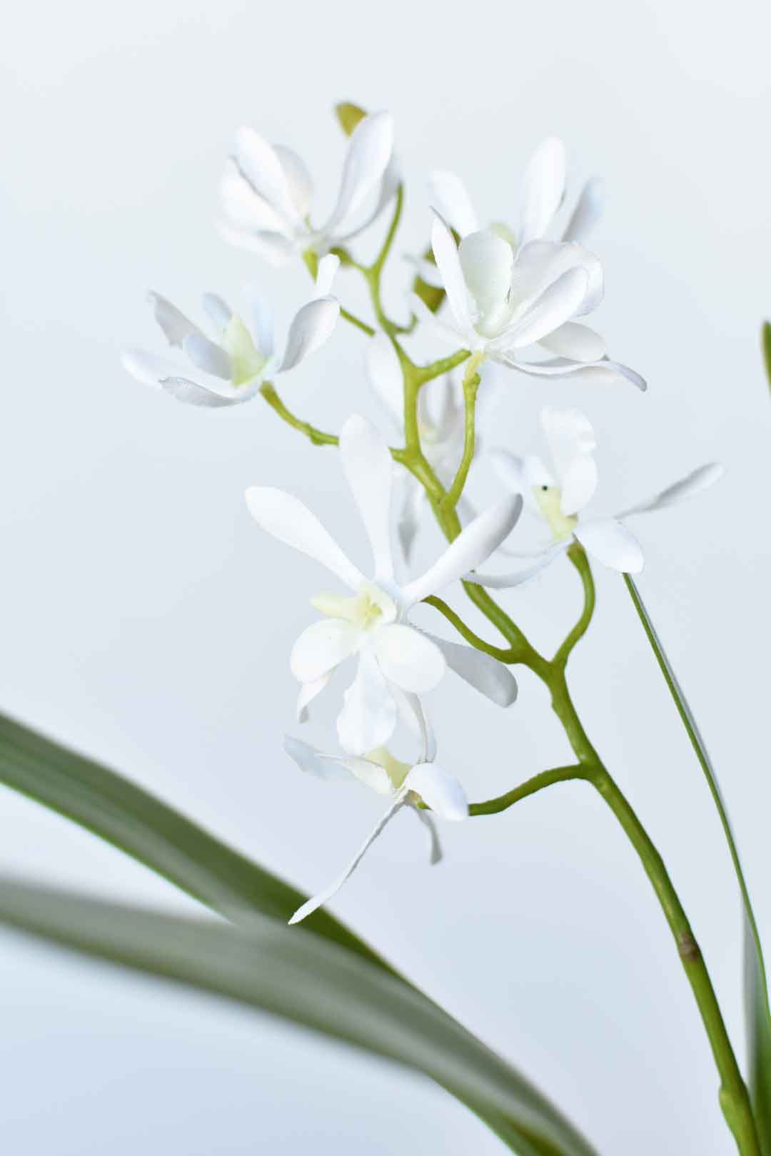 House of JSD 16" Faux Mini Orchid Stem with Leaves & Roots - Image 3