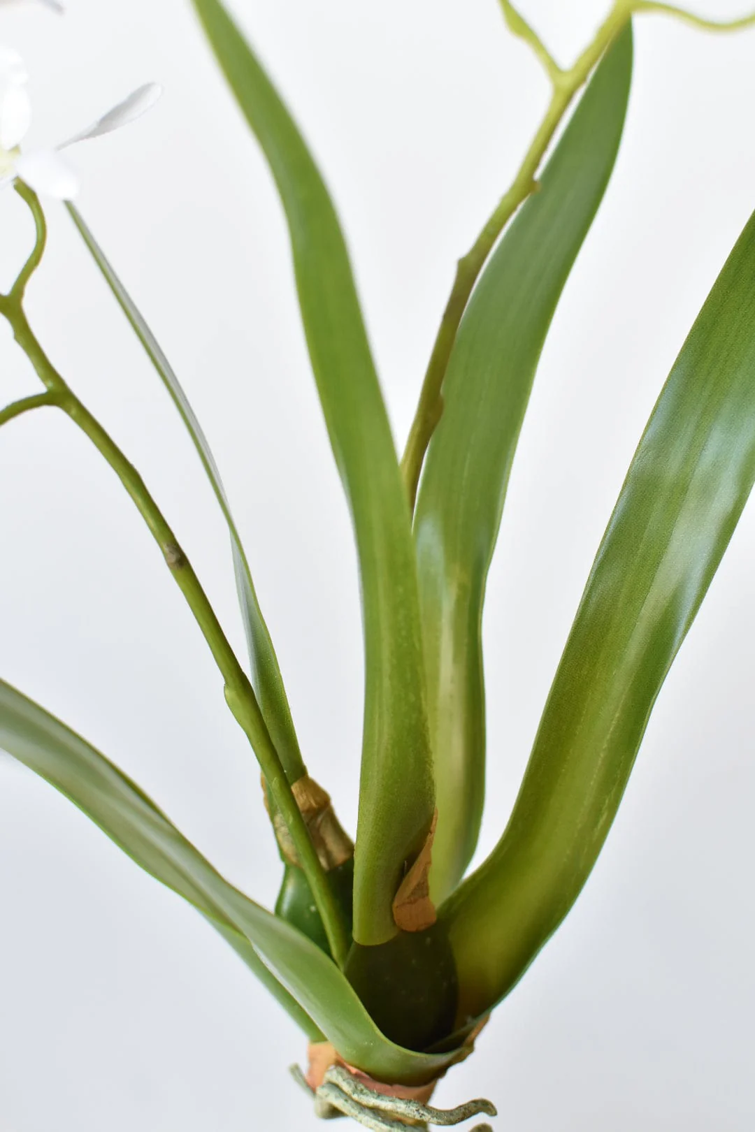 House of JSD 16" Faux Mini Orchid Stem with Leaves & Roots - Image 4
