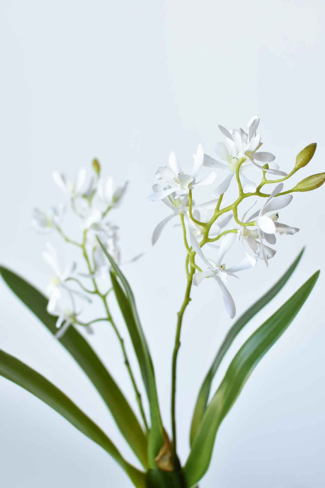 House of JSD 16" Faux Mini Orchid Stem with Leaves & Roots - Image 5