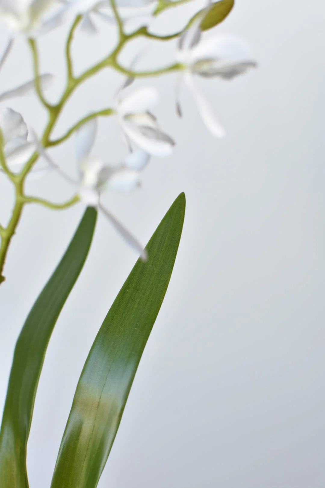 House of JSD 16" Faux Mini Orchid Stem with Leaves & Roots - Image 7