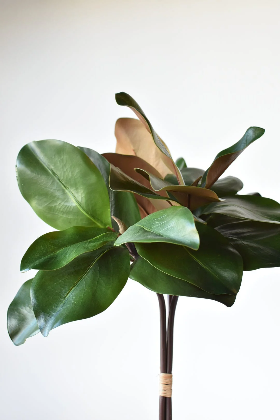 18" Faux Magnolia Leaf Bundle - Image 4