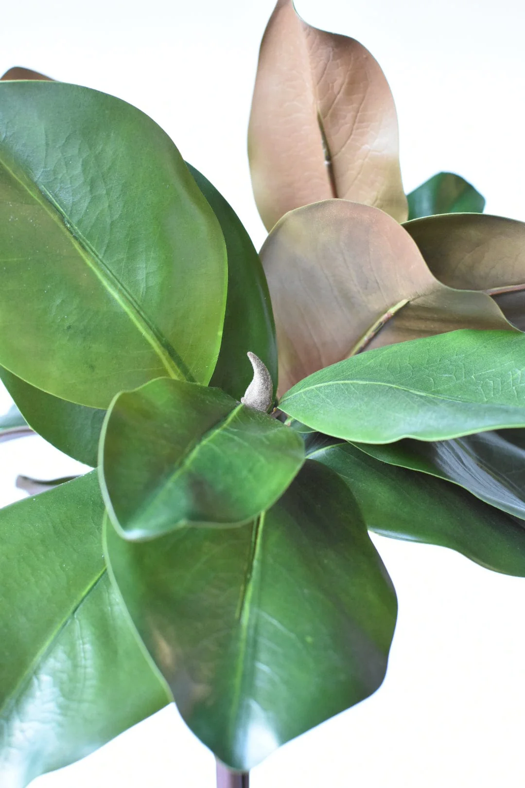 18" Faux Magnolia Leaf Bundle - Image 5