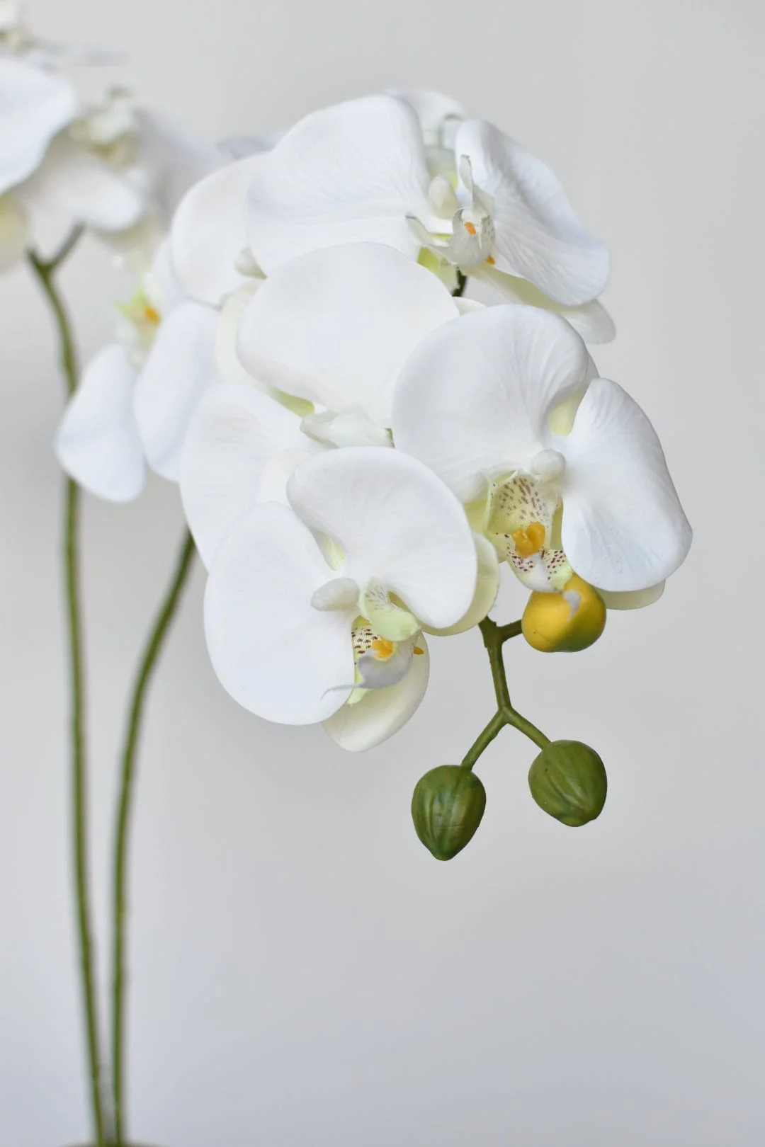 House of JSD 20" Faux Phalaenopsis Orchid in Blue & White Container - Image 3