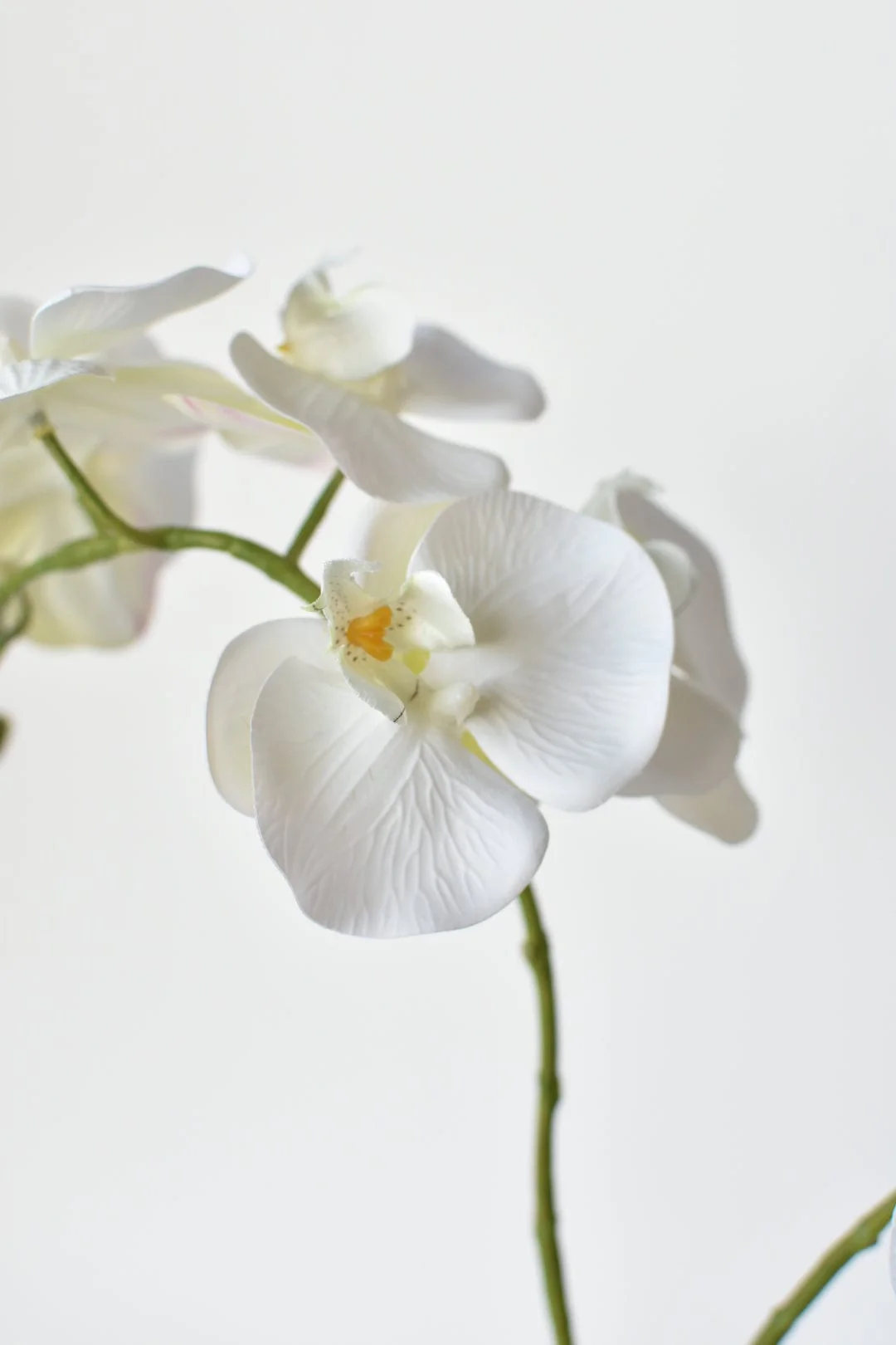 House of JSD 20" Faux Phalaenopsis Orchid in Blue & White Container - Image 5