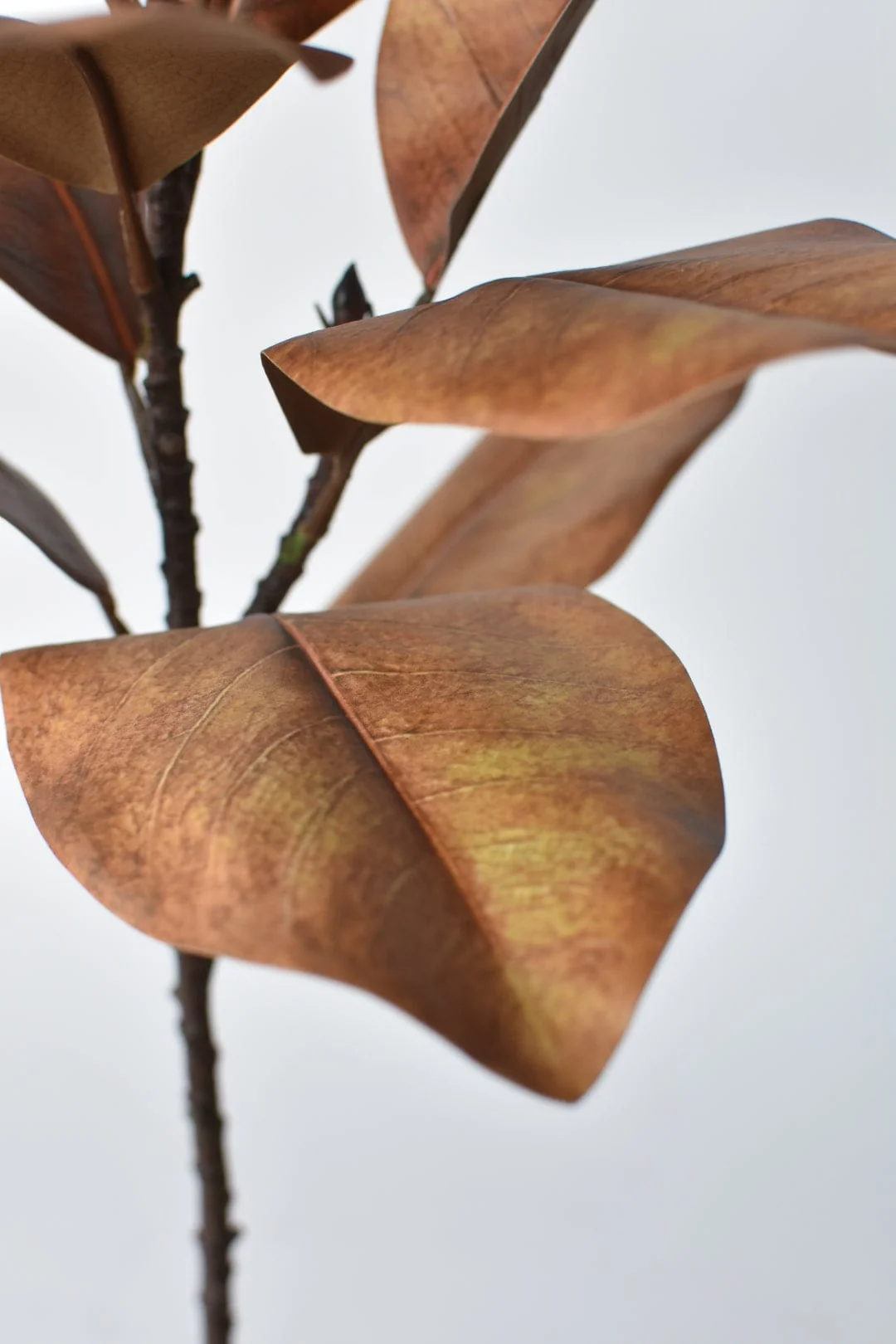21" Faux Magnolia Leaf Stem : Tobacco - Image 4