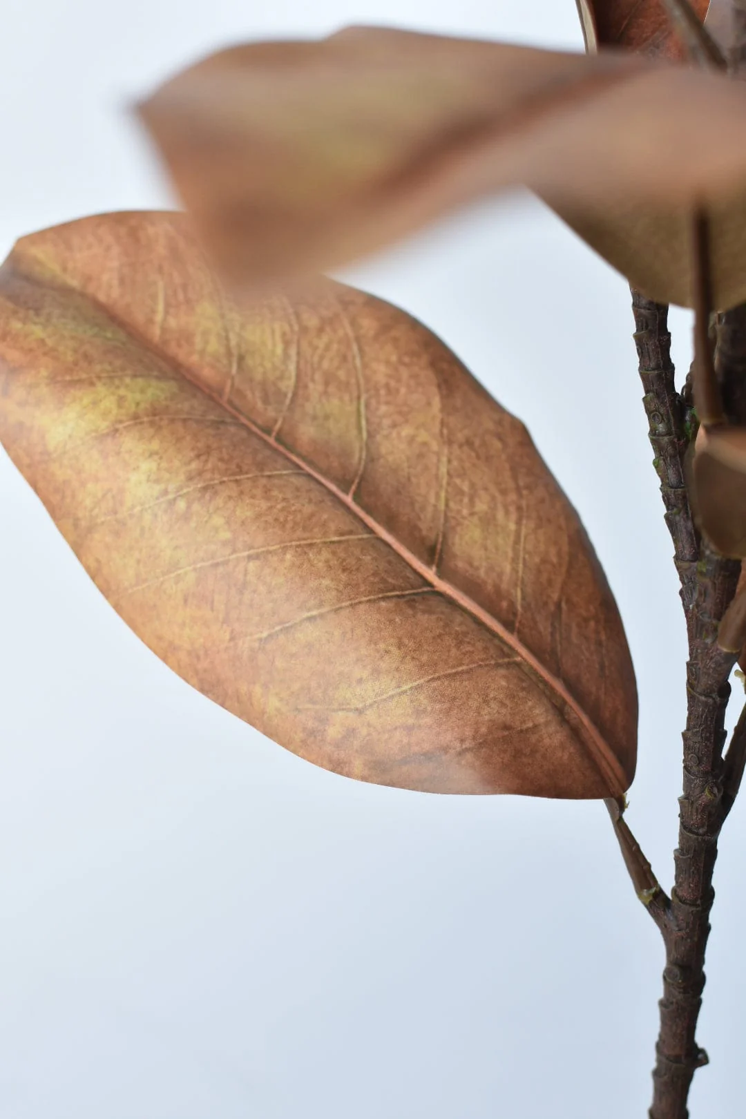 21" Faux Magnolia Leaf Stem : Tobacco - Image 5