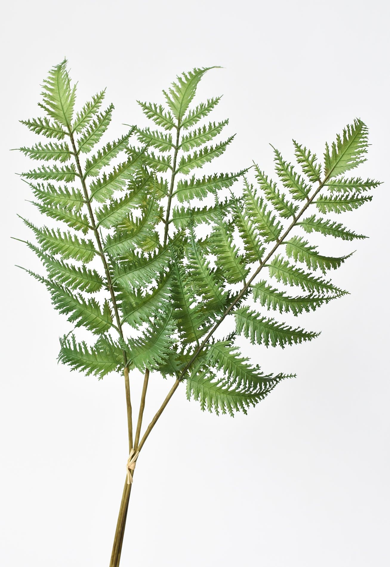 22" Faux Forest Fern Stem Bundle - Image 2