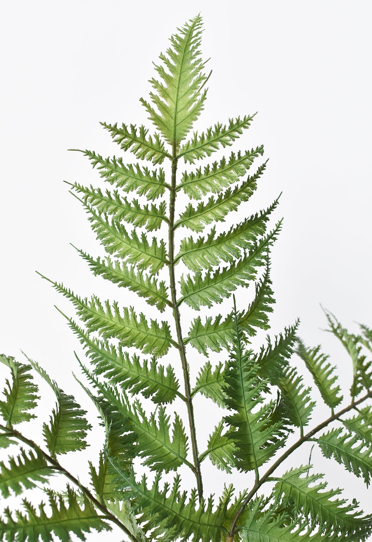 22" Faux Forest Fern Stem Bundle - Image 5