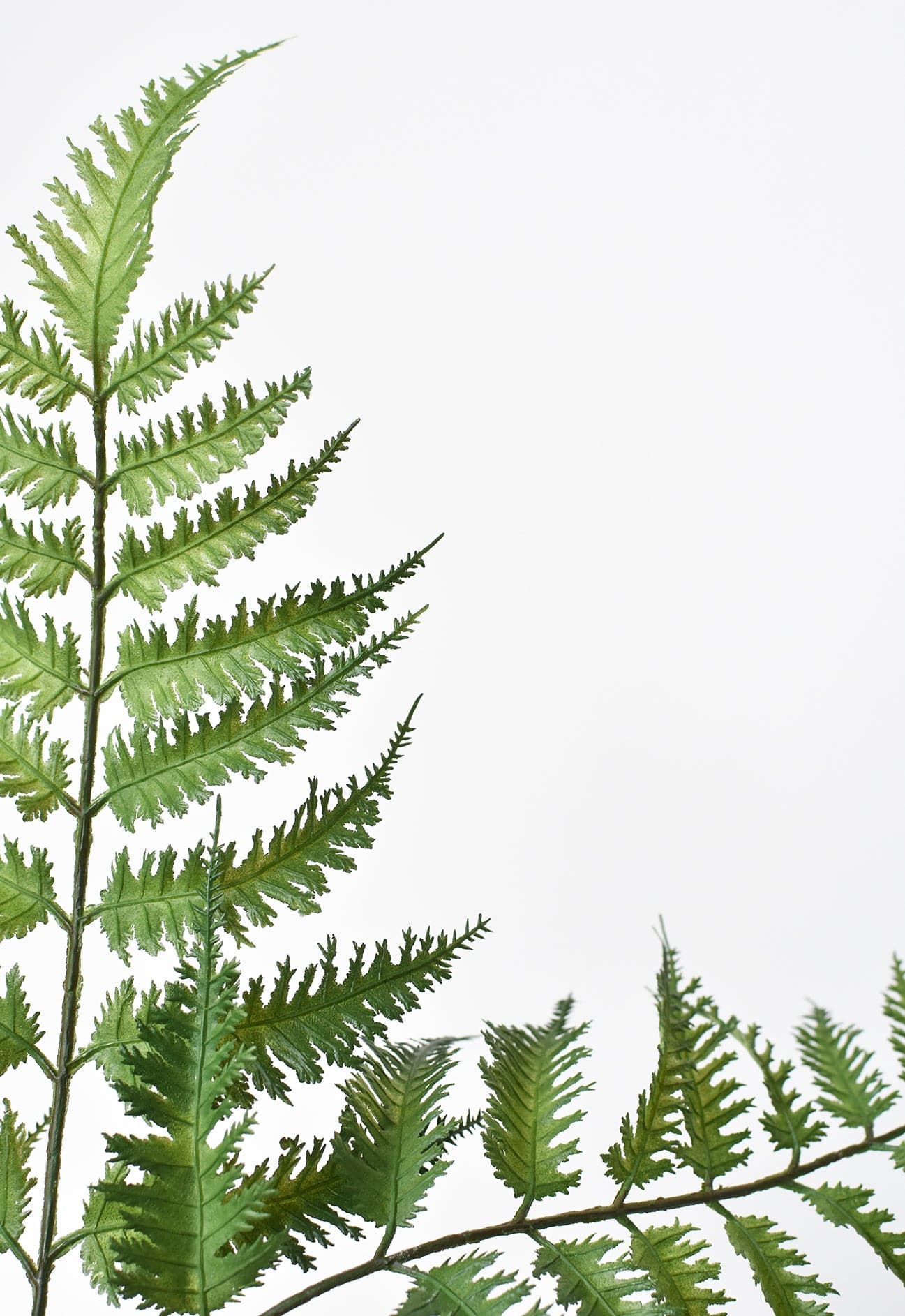 22" Faux Forest Fern Stem Bundle - Image 6