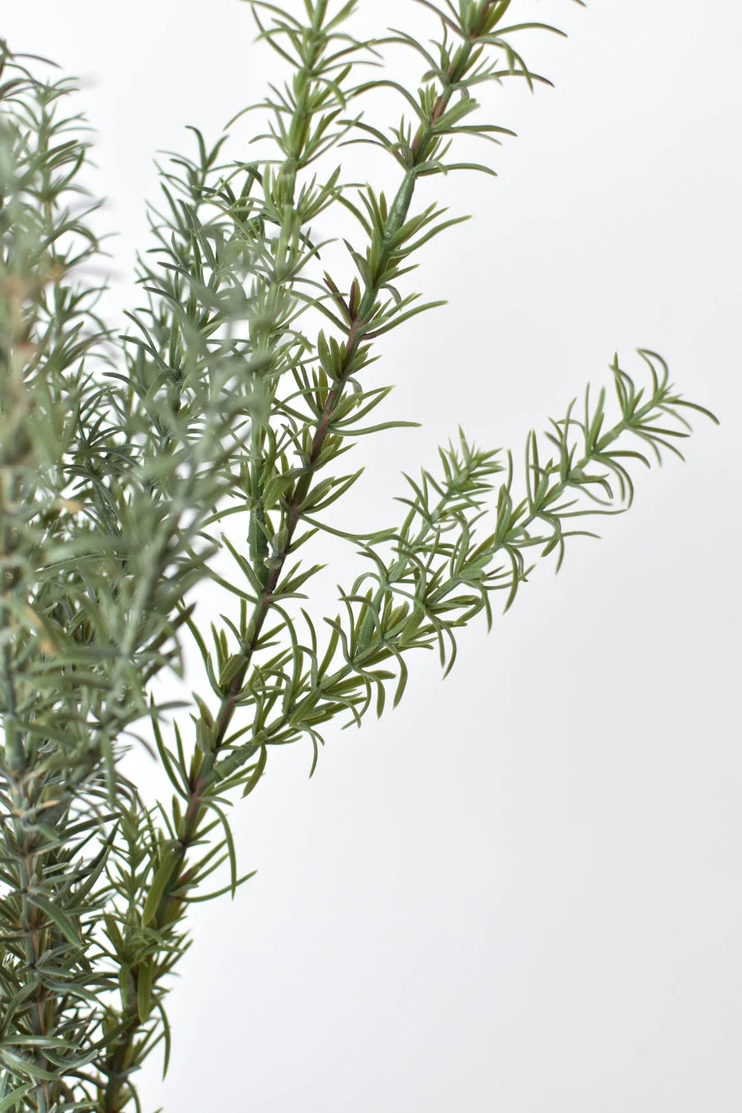 24" Faux Rosemary Bush - Image 7