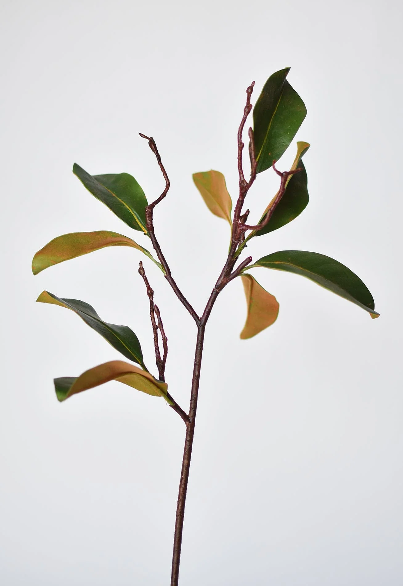 26" magnolia leaf branch - Image 3