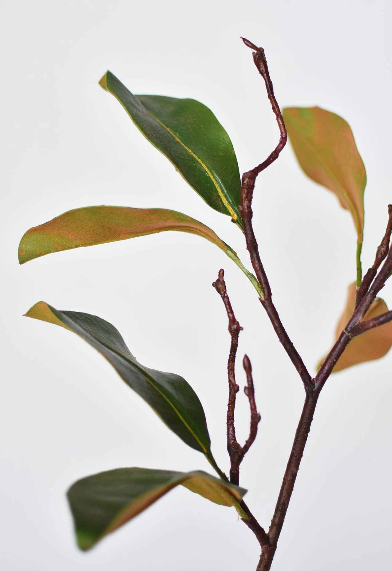 26" magnolia leaf branch - Image 4