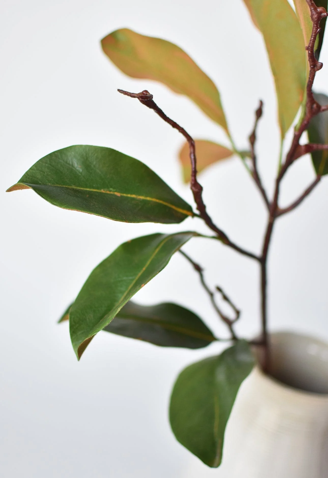 26" magnolia leaf branch - Image 7