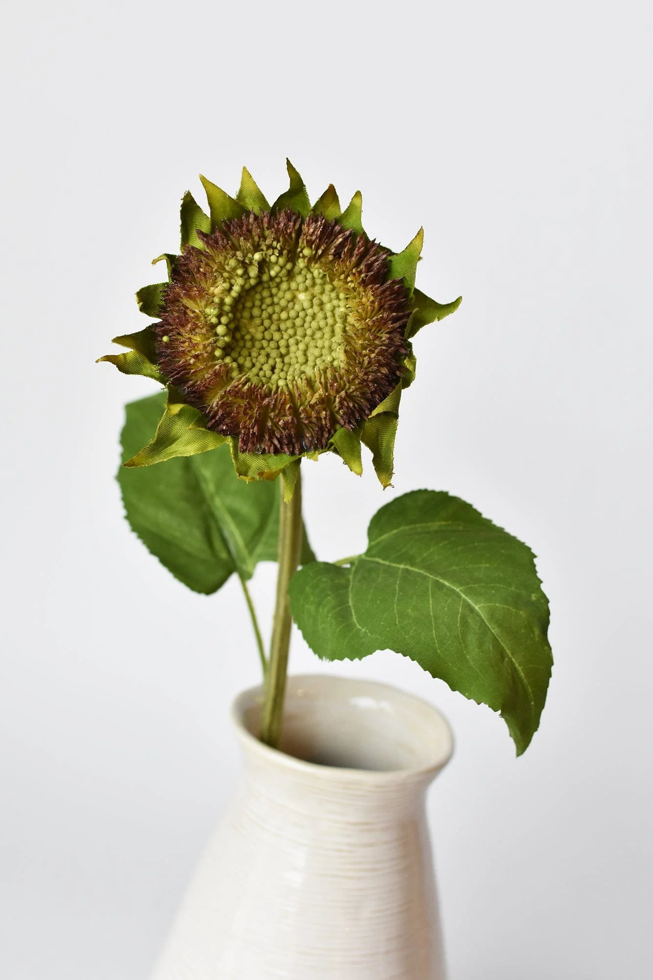 28" Aged Brown Sunflower Stem - Image 3