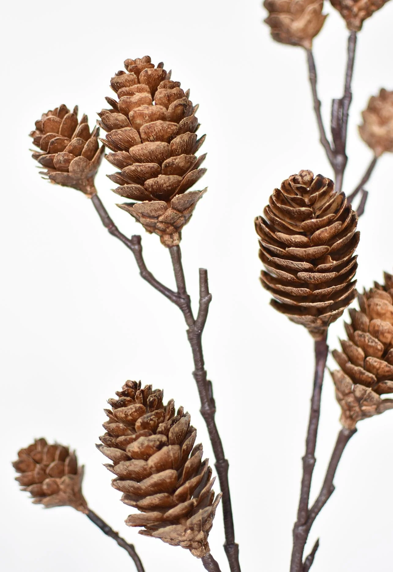 28" Faux Pine Cone Branch Stem - Image 3