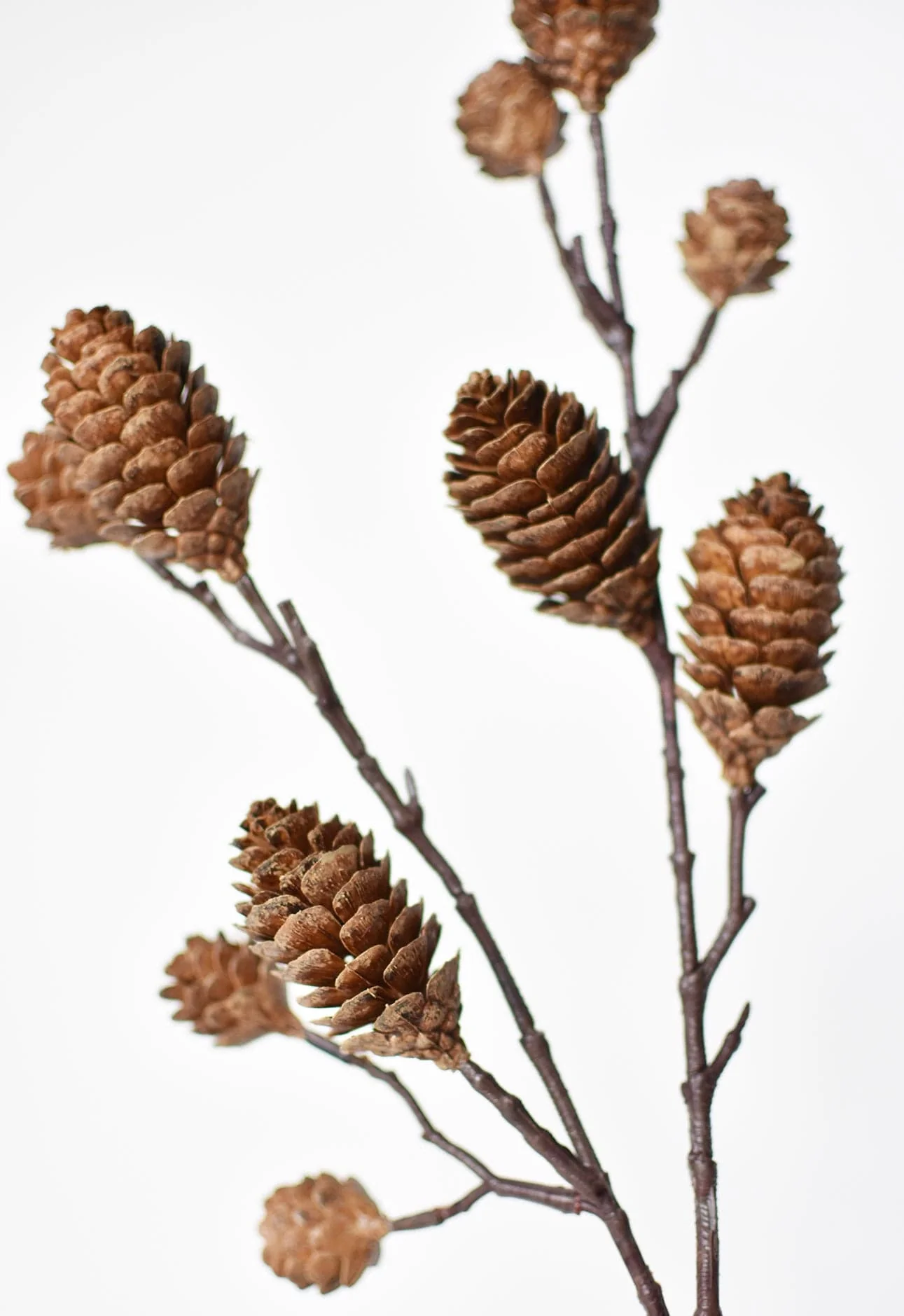 28" Faux Pine Cone Branch Stem - Image 5