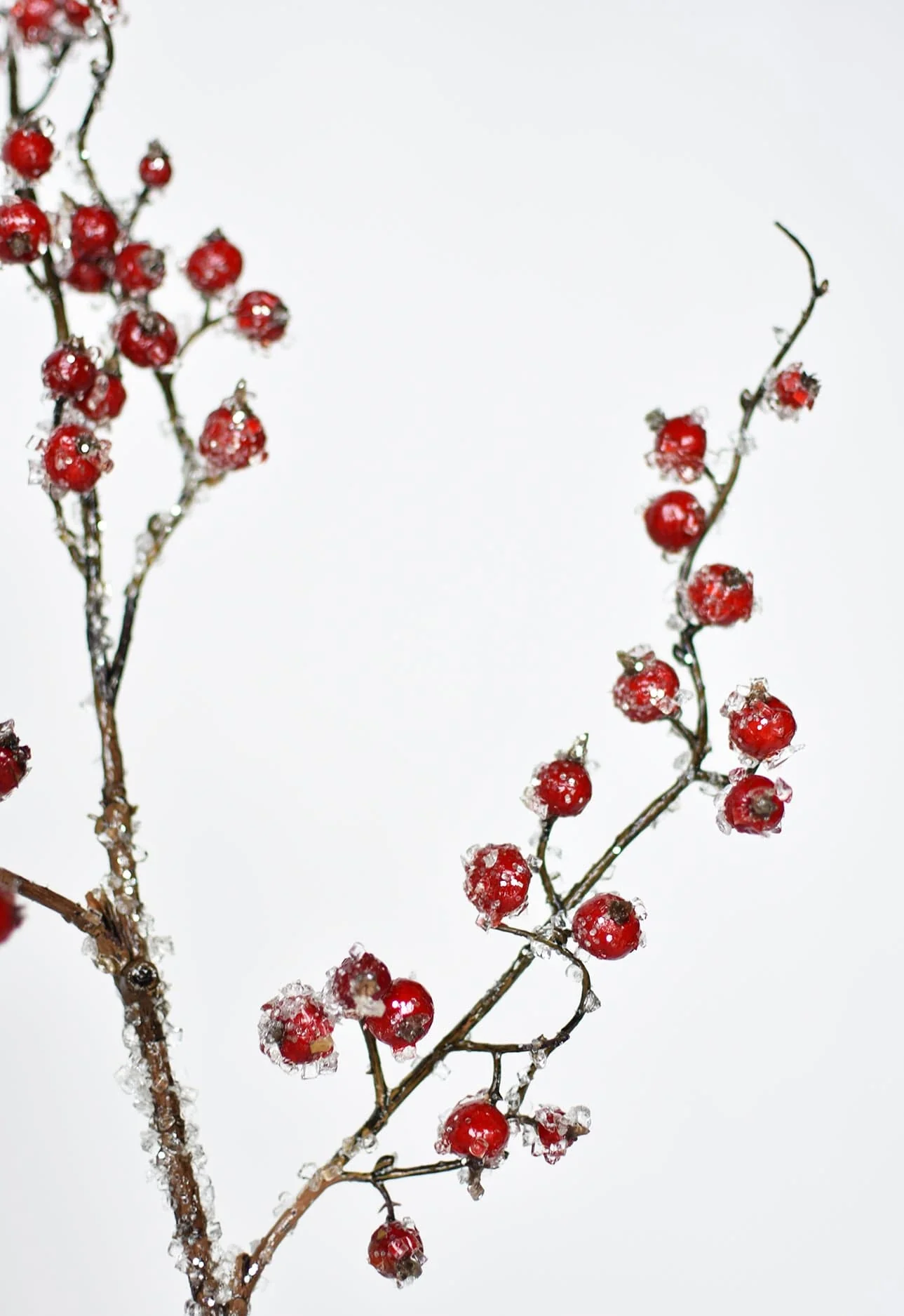 29" Faux Iced Red Berry Stem - Image 3