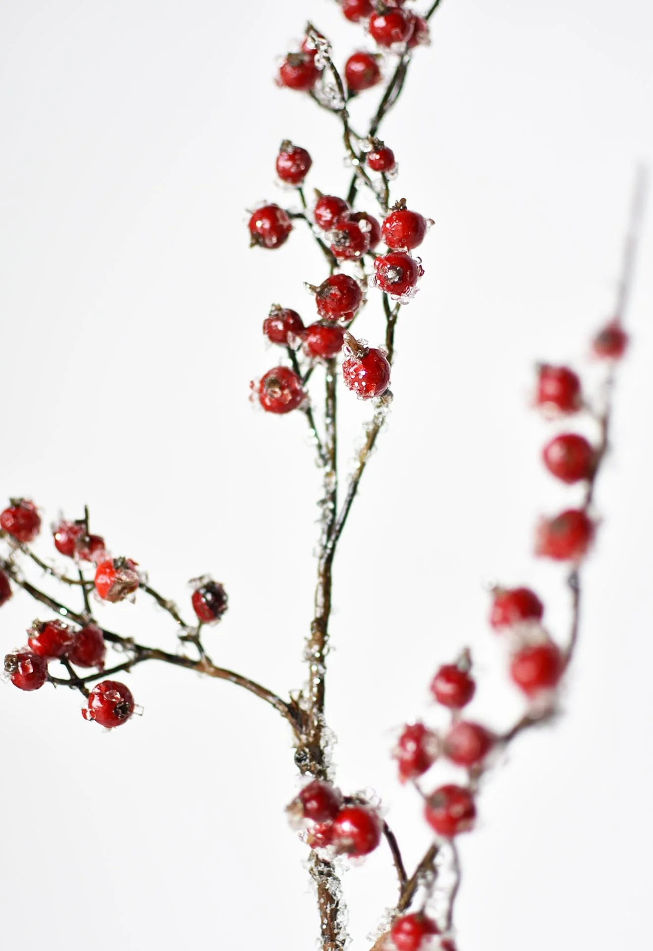 29" Faux Iced Red Berry Stem - Image 4