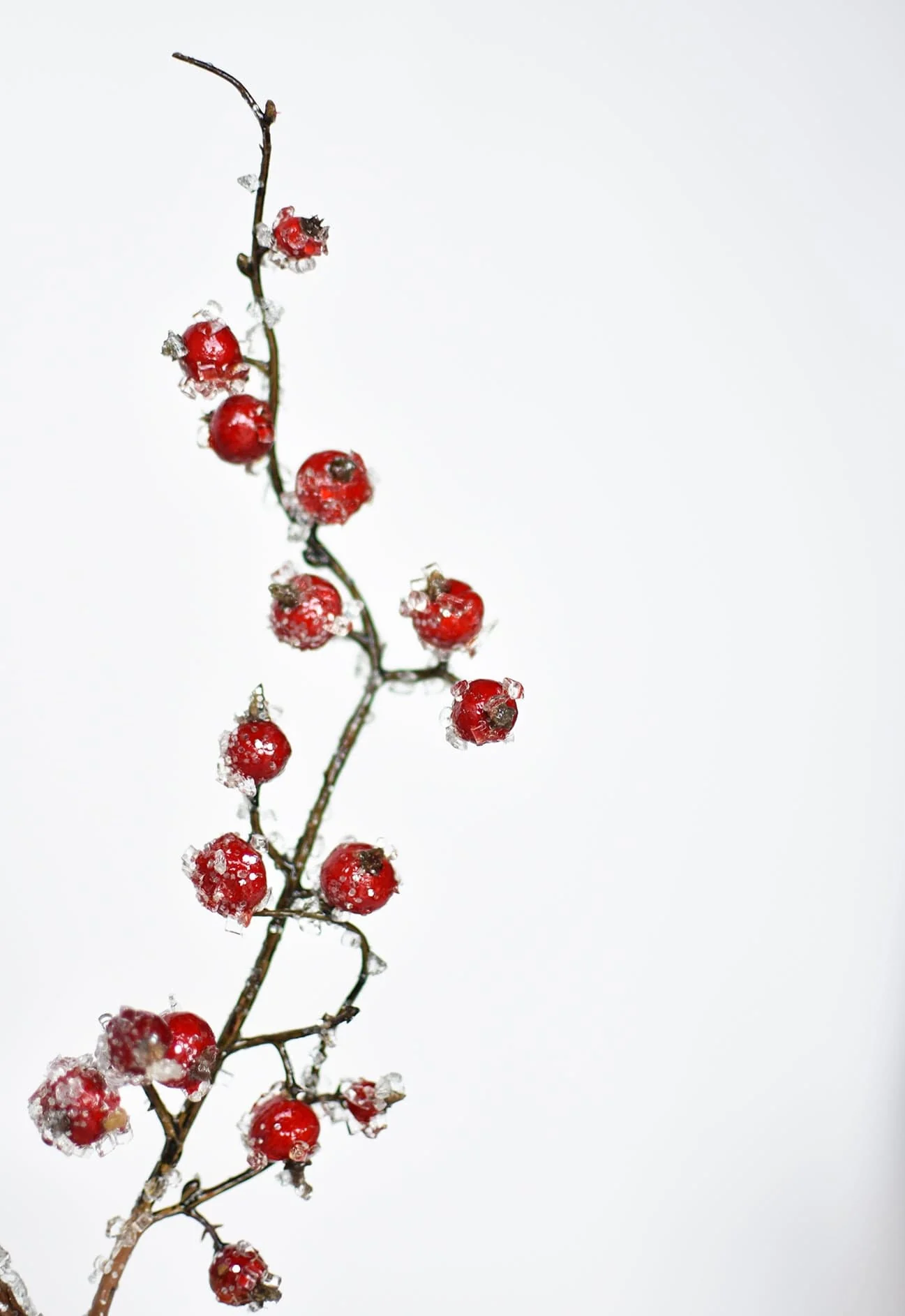 29" Faux Iced Red Berry Stem - Image 6