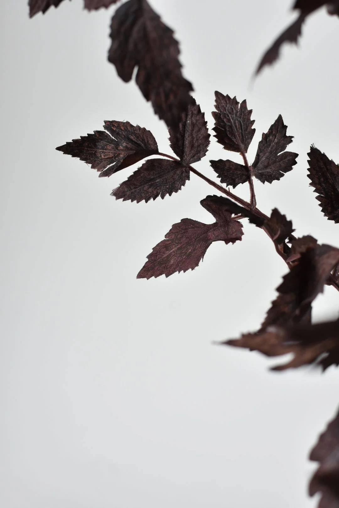 31" Faux Cimicifunga Ramosa Stem: Plum - Image 3