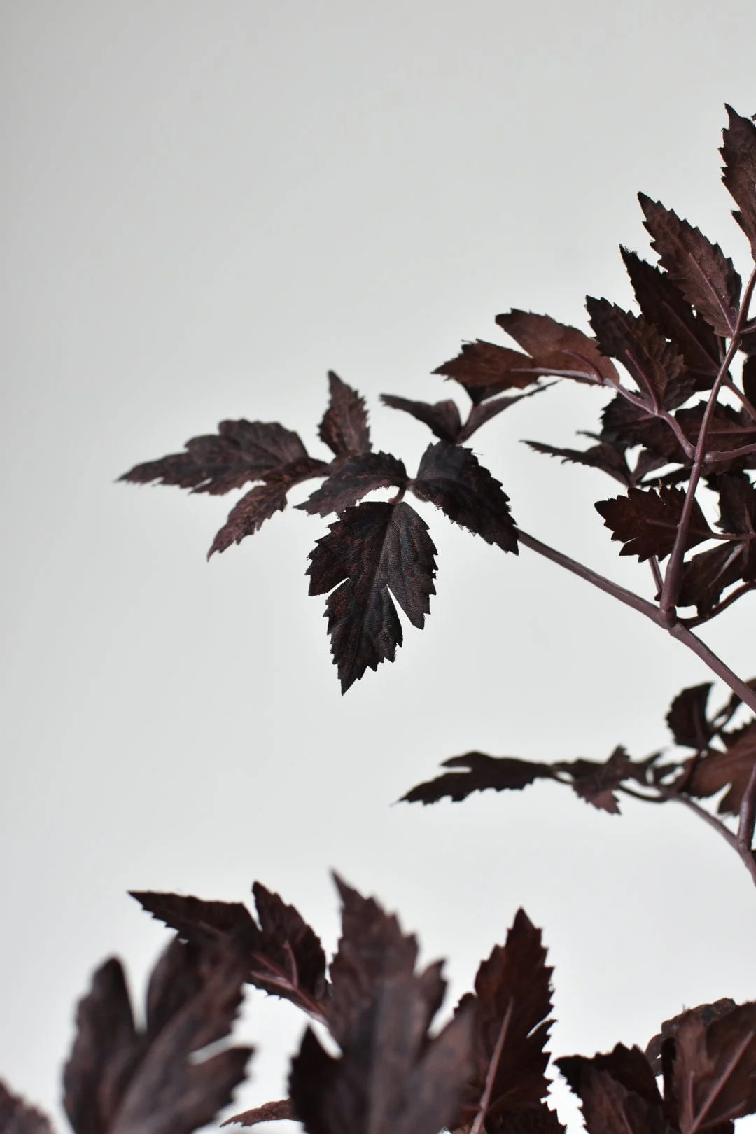 31" Faux Cimicifunga Ramosa Stem: Plum - Image 4