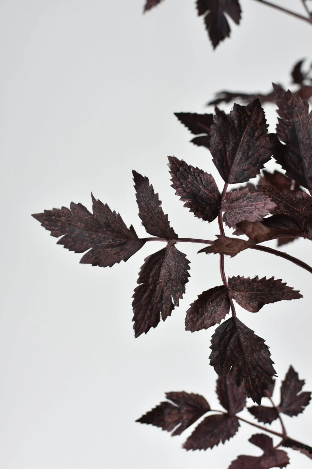 31" Faux Cimicifunga Ramosa Stem: Plum - Image 5