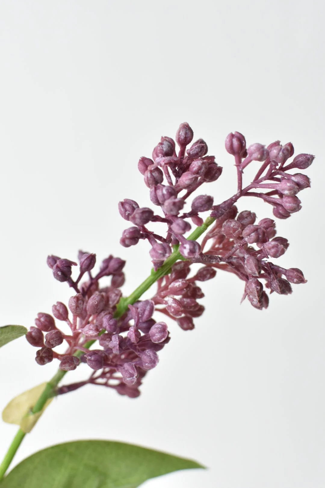 House of JSD 34.5" Faux Vibrant Pink & Purple Lilac Stem - Image 5