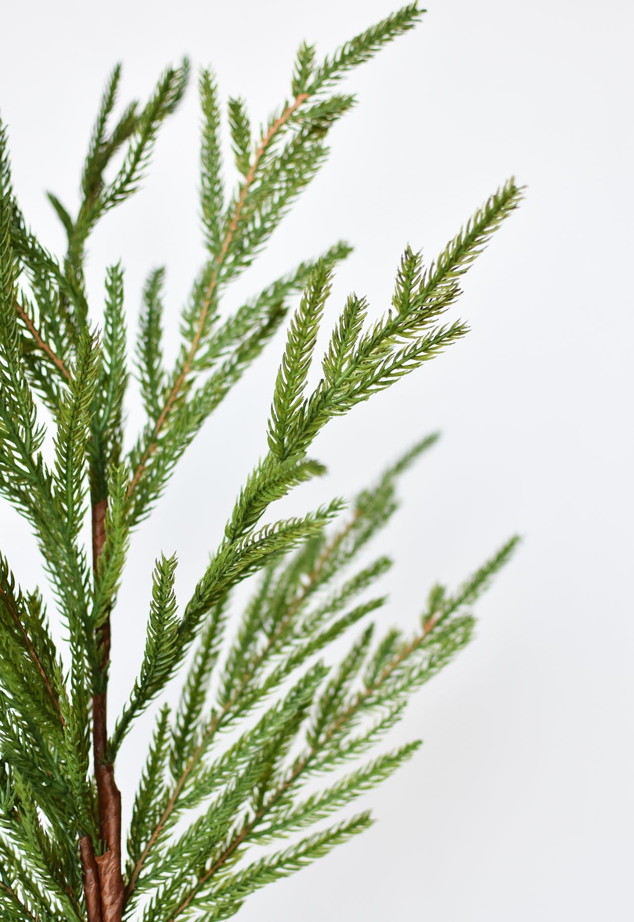 36" Faux Green Norfolk Pine - Cypress Spray Stem - Image 3