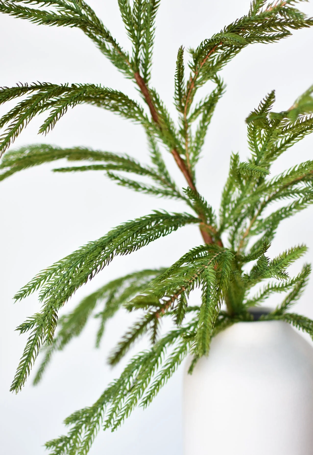 36" Faux Green Norfolk Pine - Cypress Spray Stem - Image 4