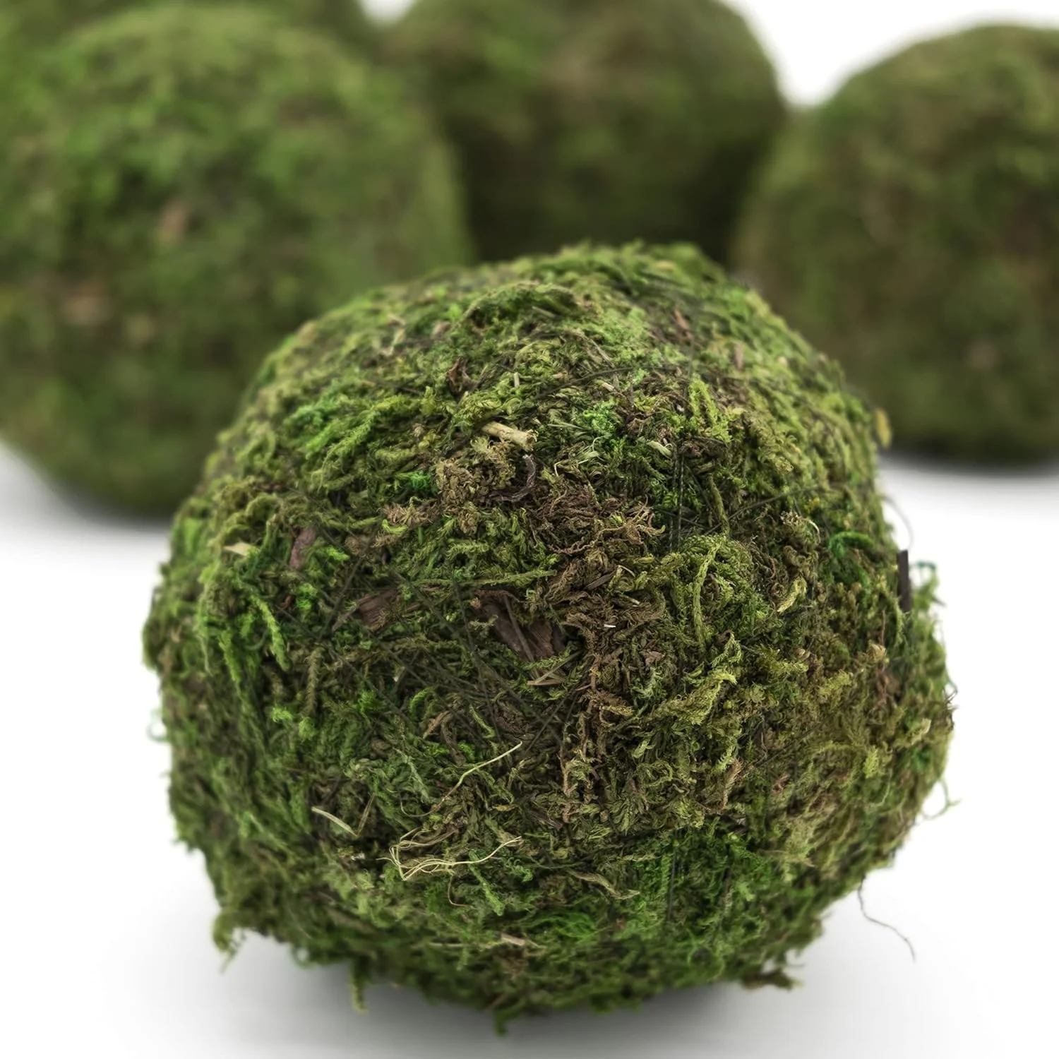 House by JSD Set of Six 4" Moss Balls - Image 5