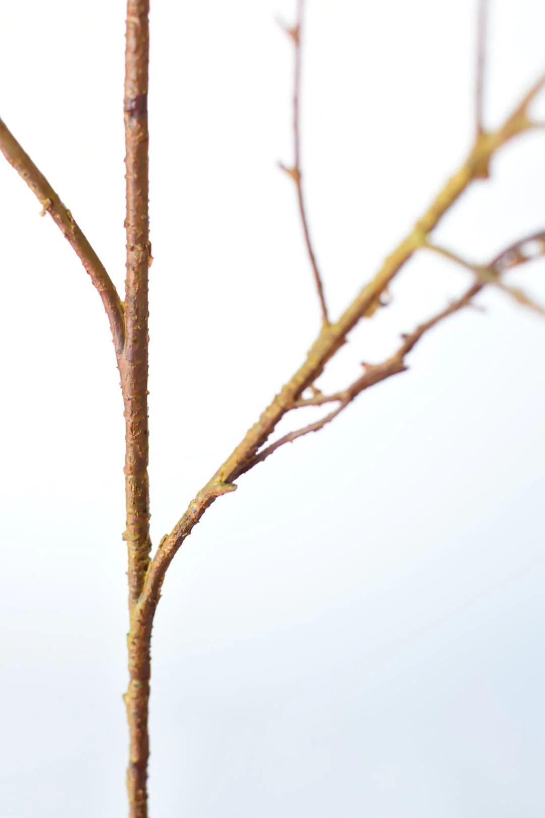 40" Faux Light Brown Twig Branch Stem - Image 3