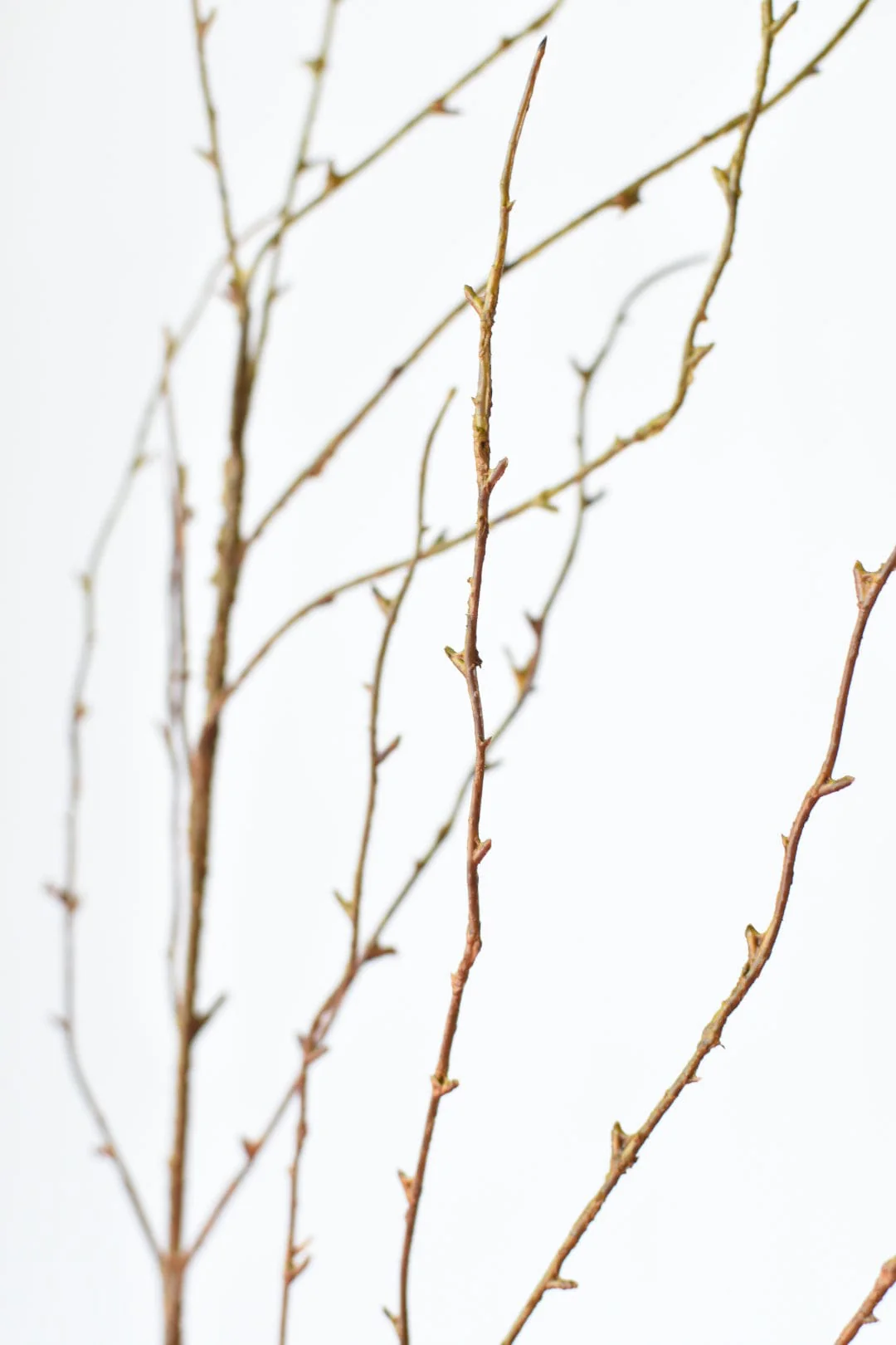 40" Faux Light Brown Twig Branch Stem - Image 4