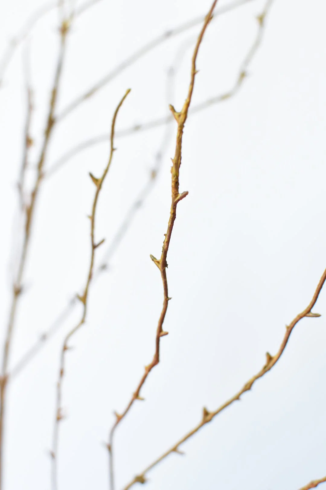 40" Faux Light Brown Twig Branch Stem - Image 5