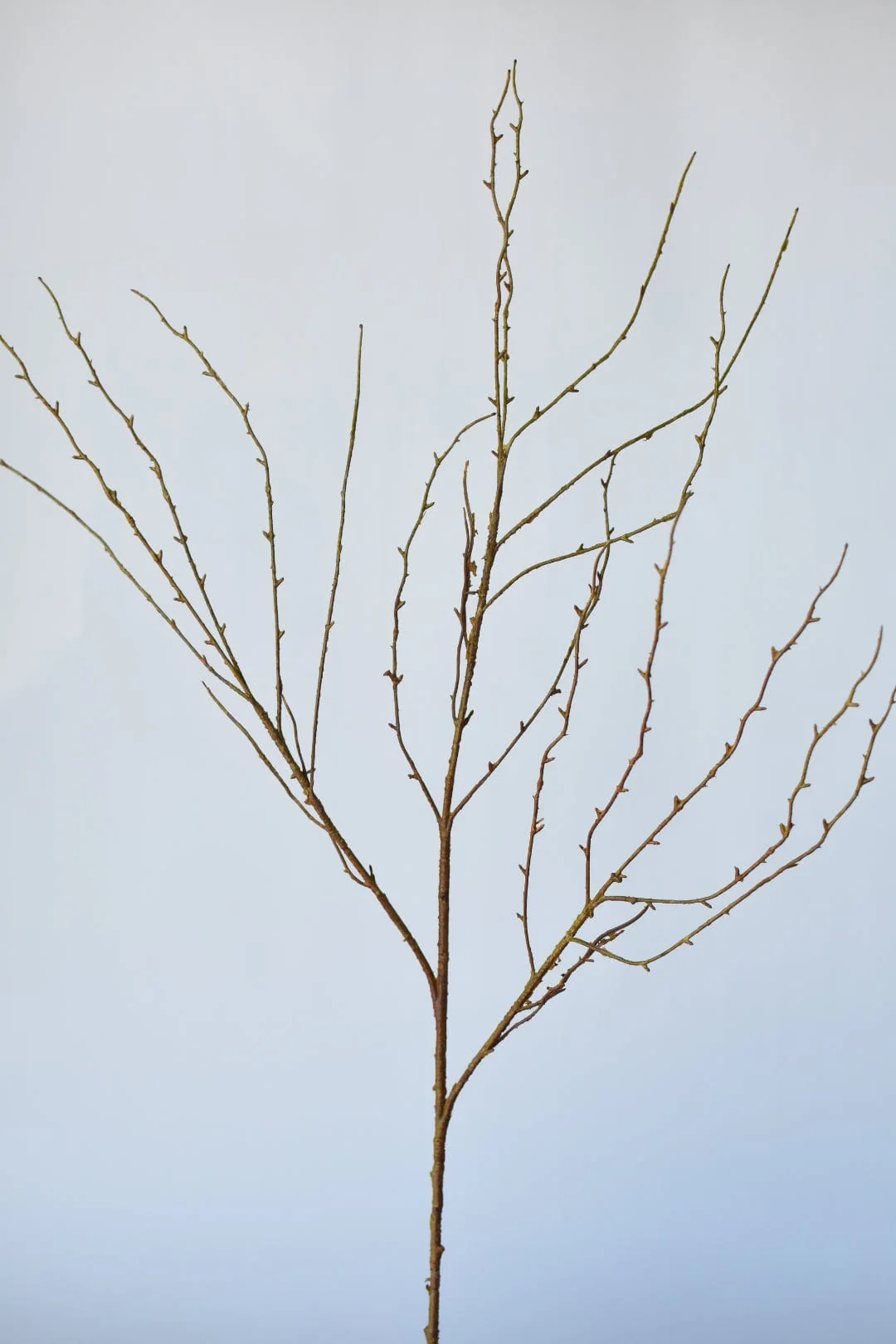 40" Faux Light Brown Twig Branch Stem - Image 6