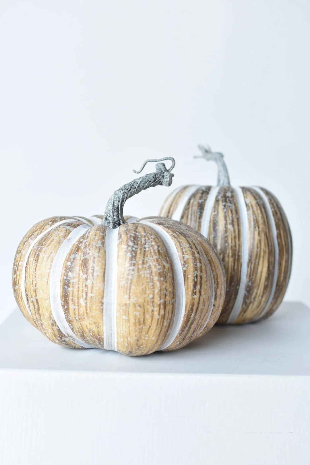 7"Hx5.5"W Faux Pumpkin Beige White - Tall - Image 5