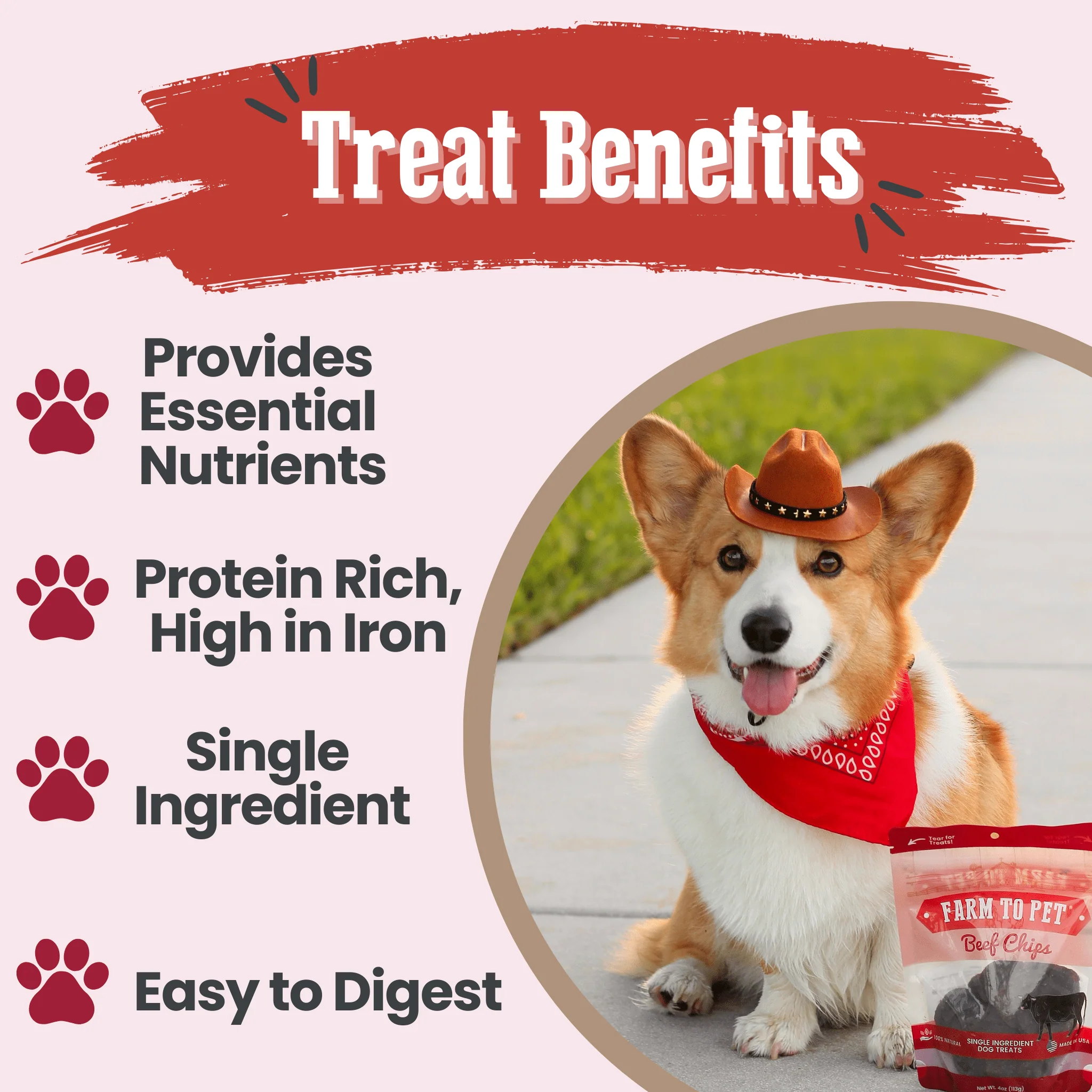 Farm To Pet Single-Ingredient Beef Chips Dog Treats - Image 5