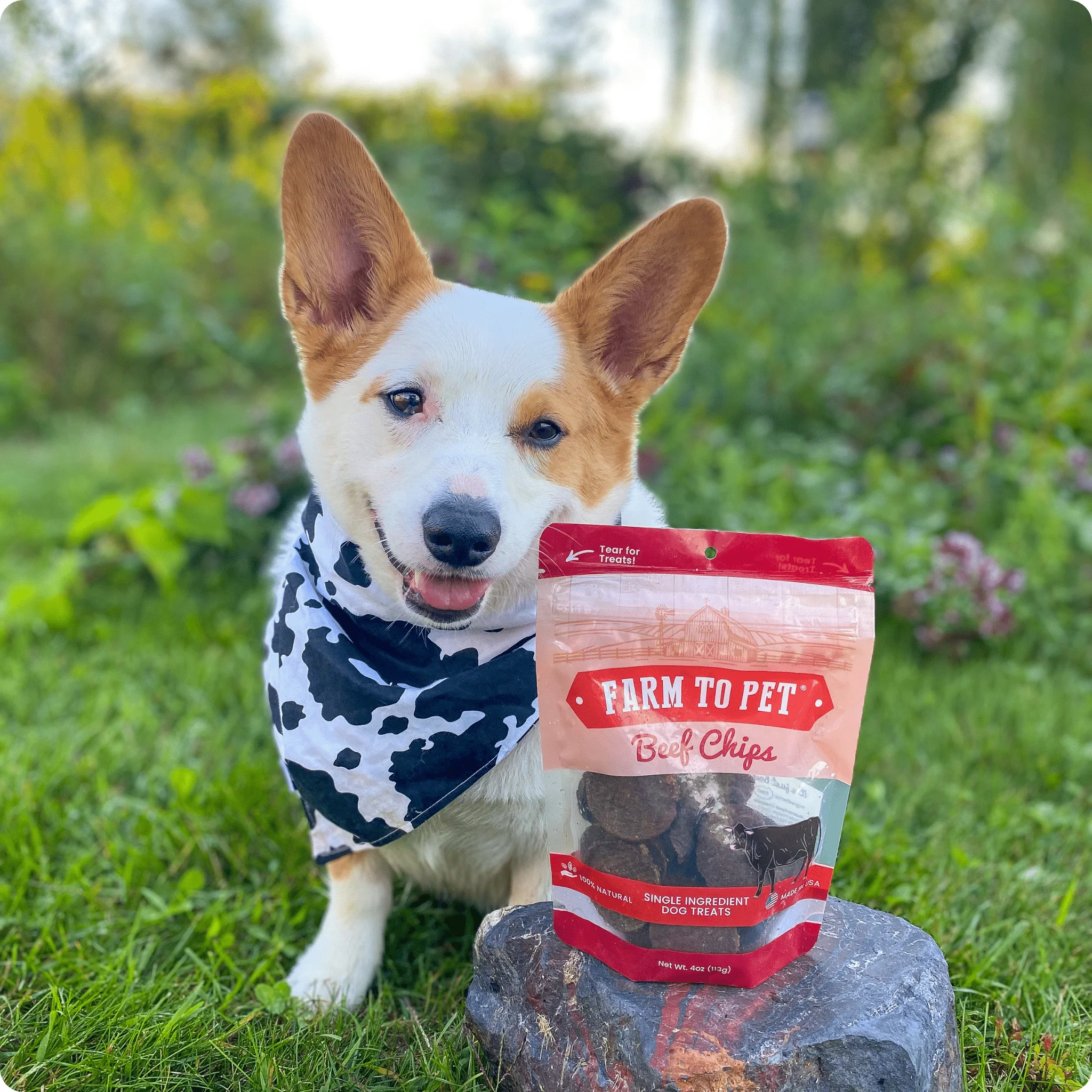 Farm To Pet Single-Ingredient Beef Chips Dog Treats - Image 7