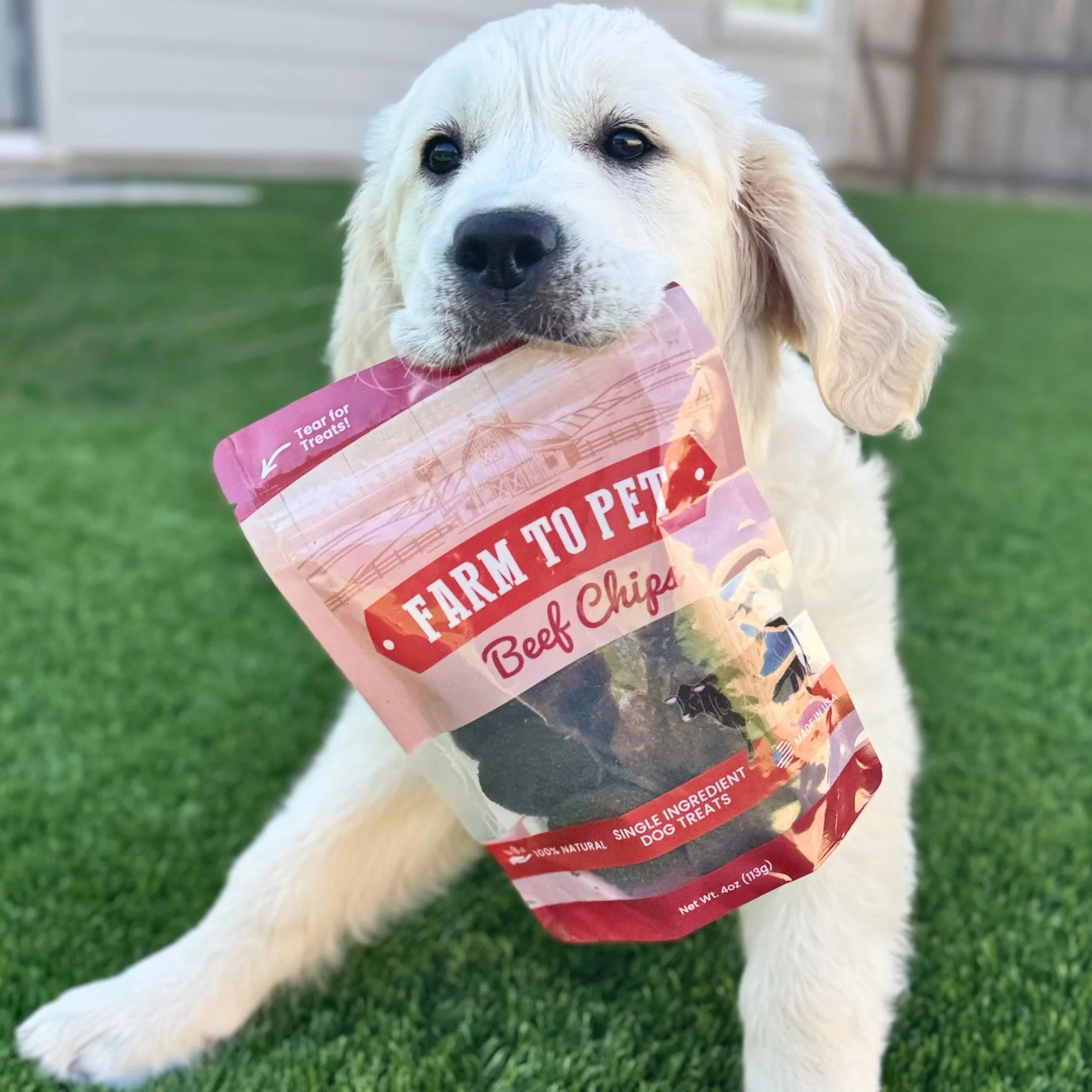 Farm To Pet Single-Ingredient Beef Chips Dog Treats - Image 8