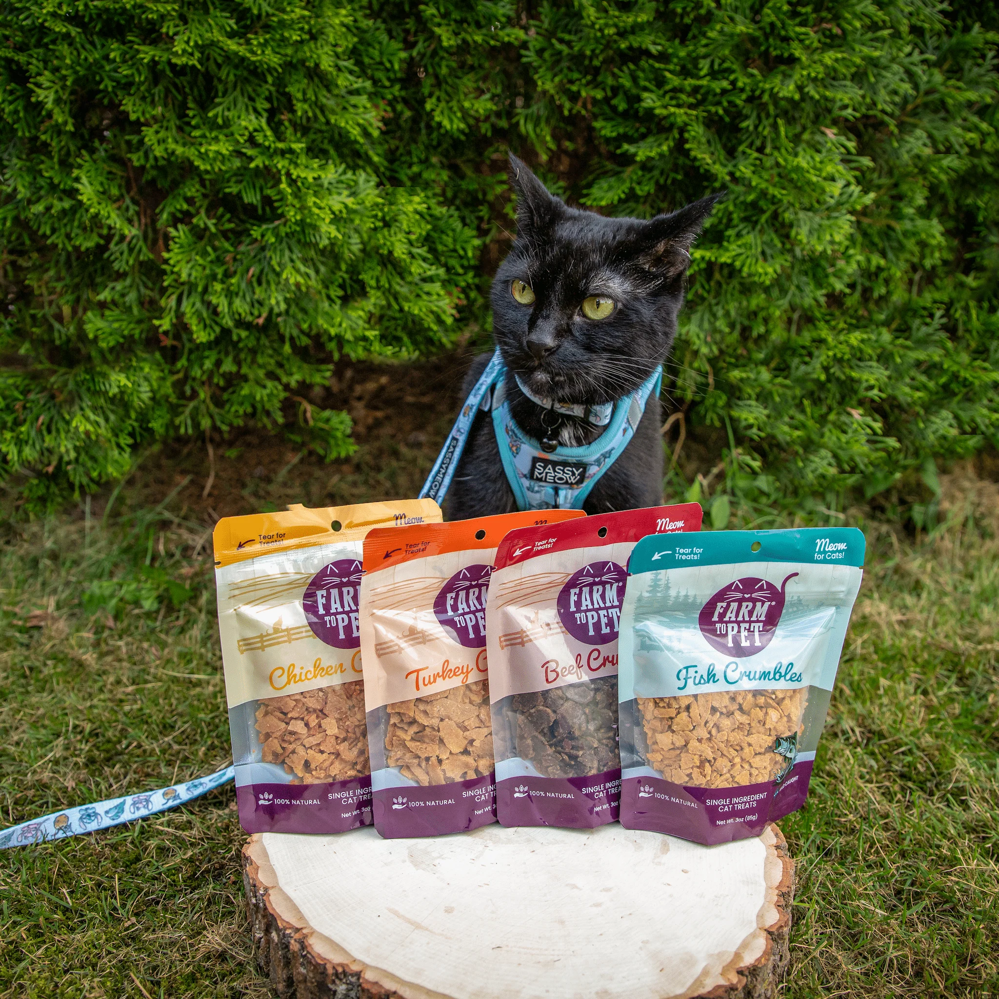 Farm To Pet High Protein Beef Crumbles Cat Treats - Image 4