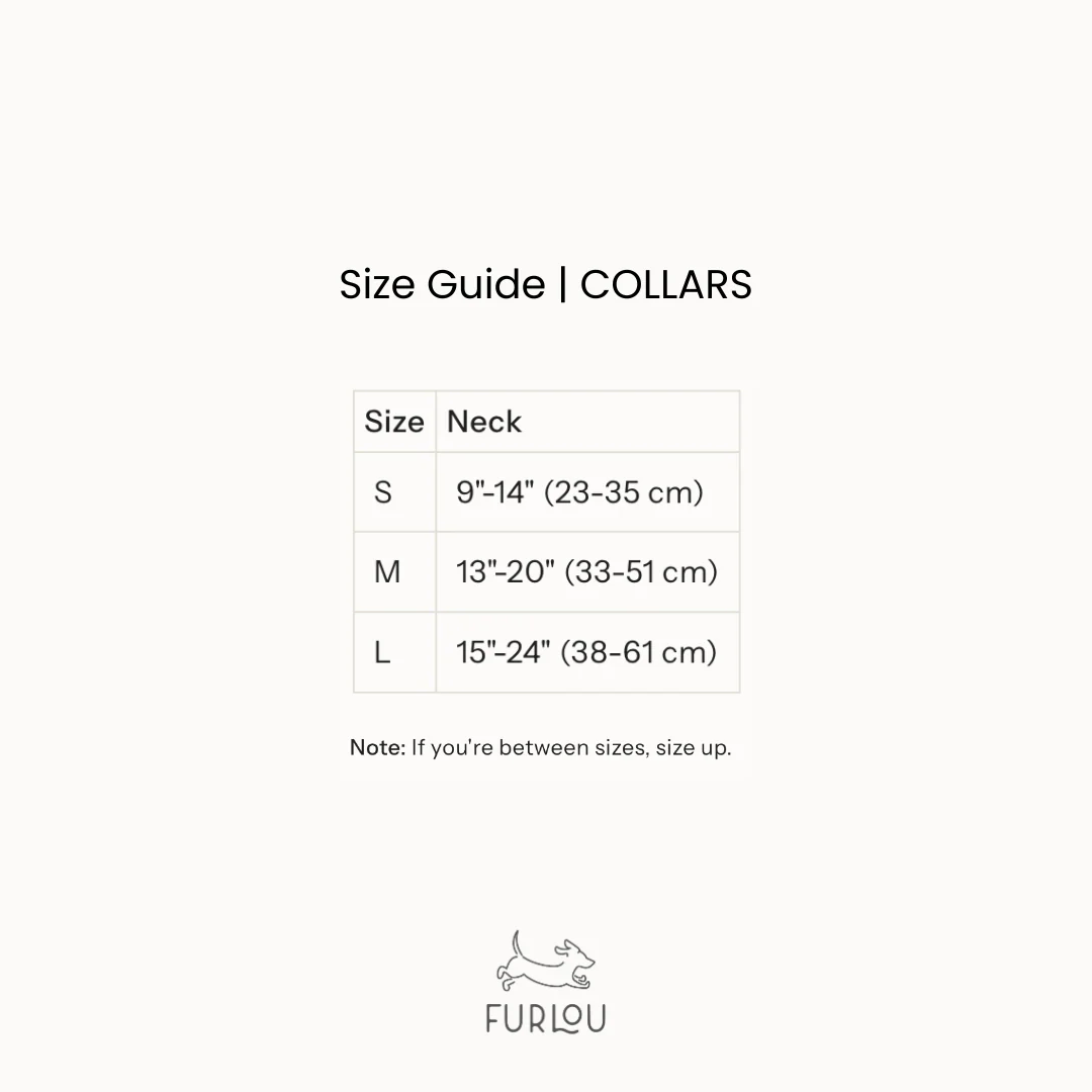 Furlou Blue Canvas Dog Collar Choice of Size - Image 3