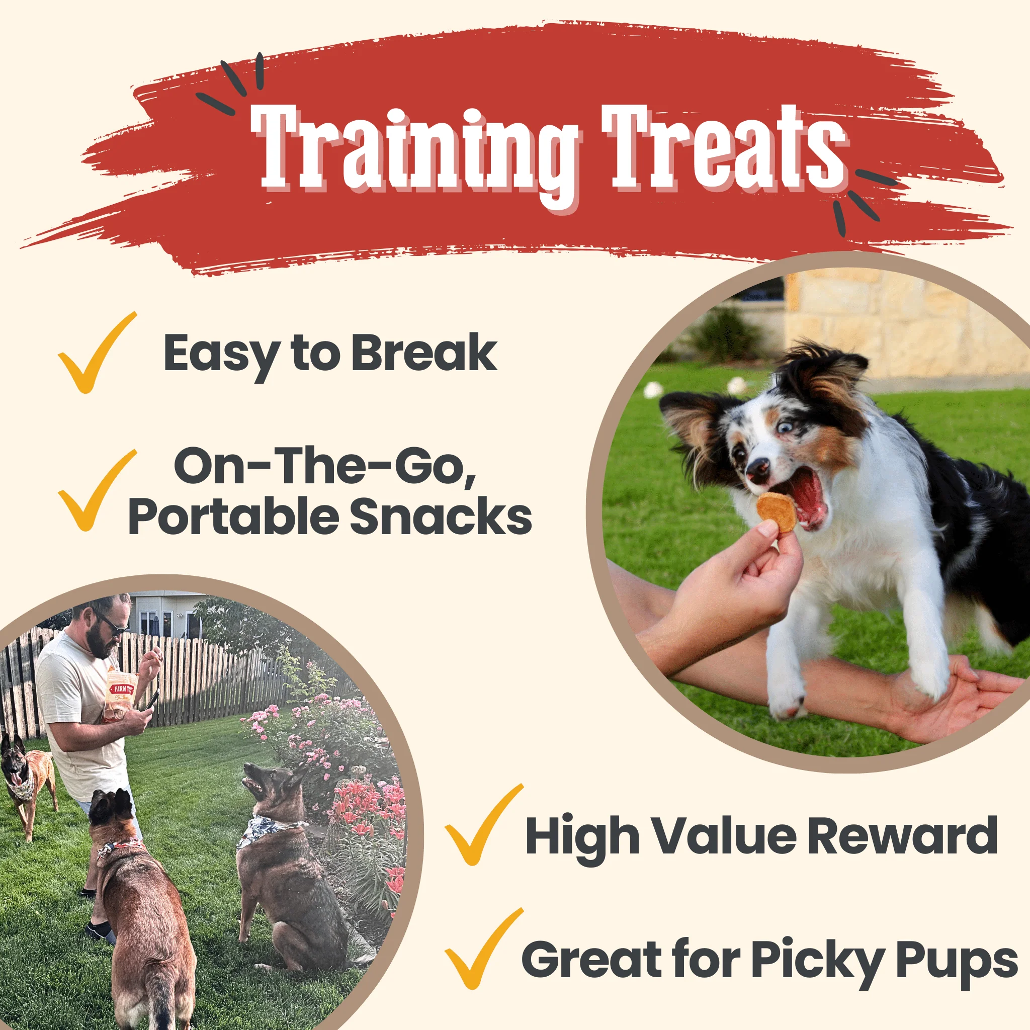 Farm To Pet All-Natural Single-Ingredient Chicken Chips Dog Treats - Image 4