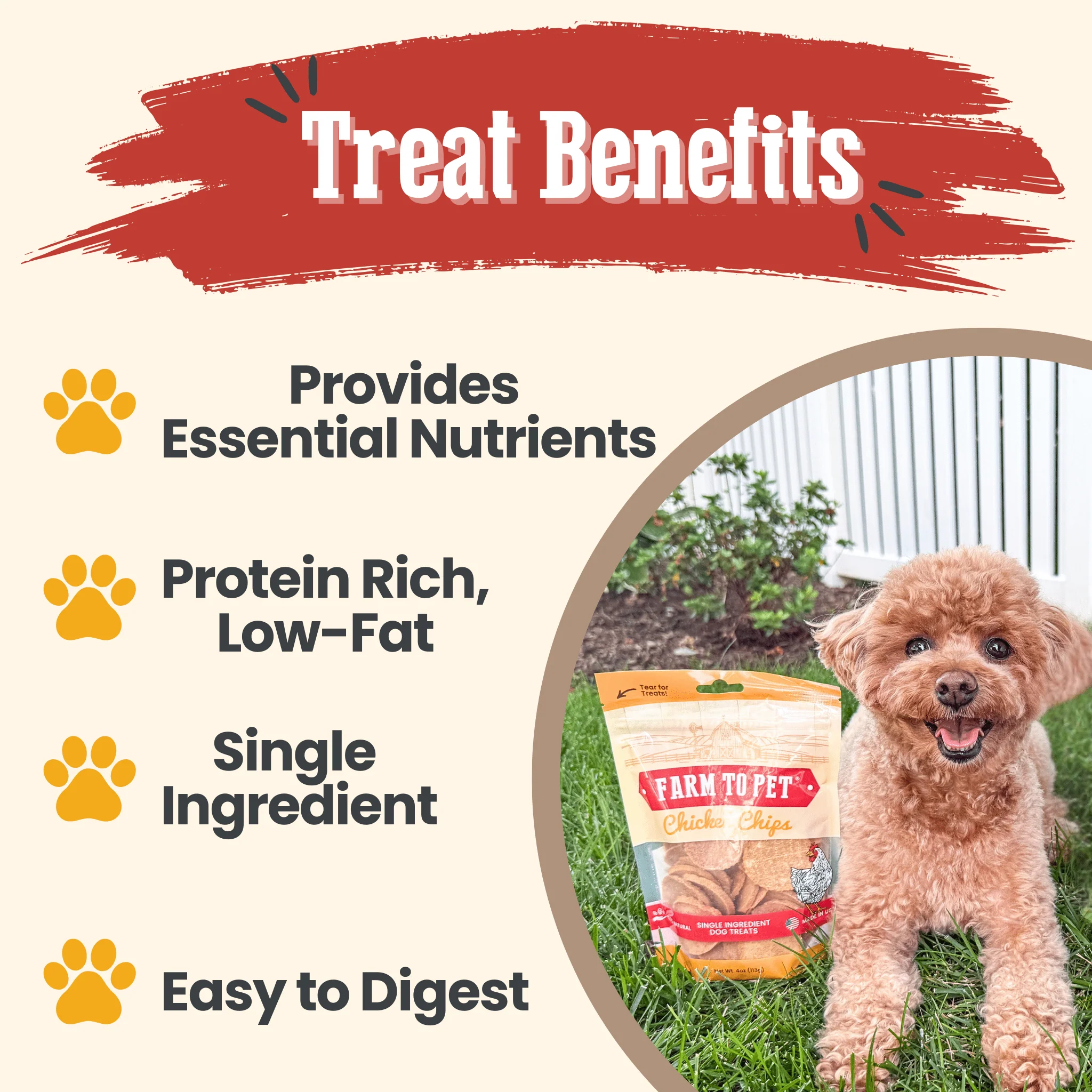 Farm To Pet All-Natural Single-Ingredient Chicken Chips Dog Treats - Image 5