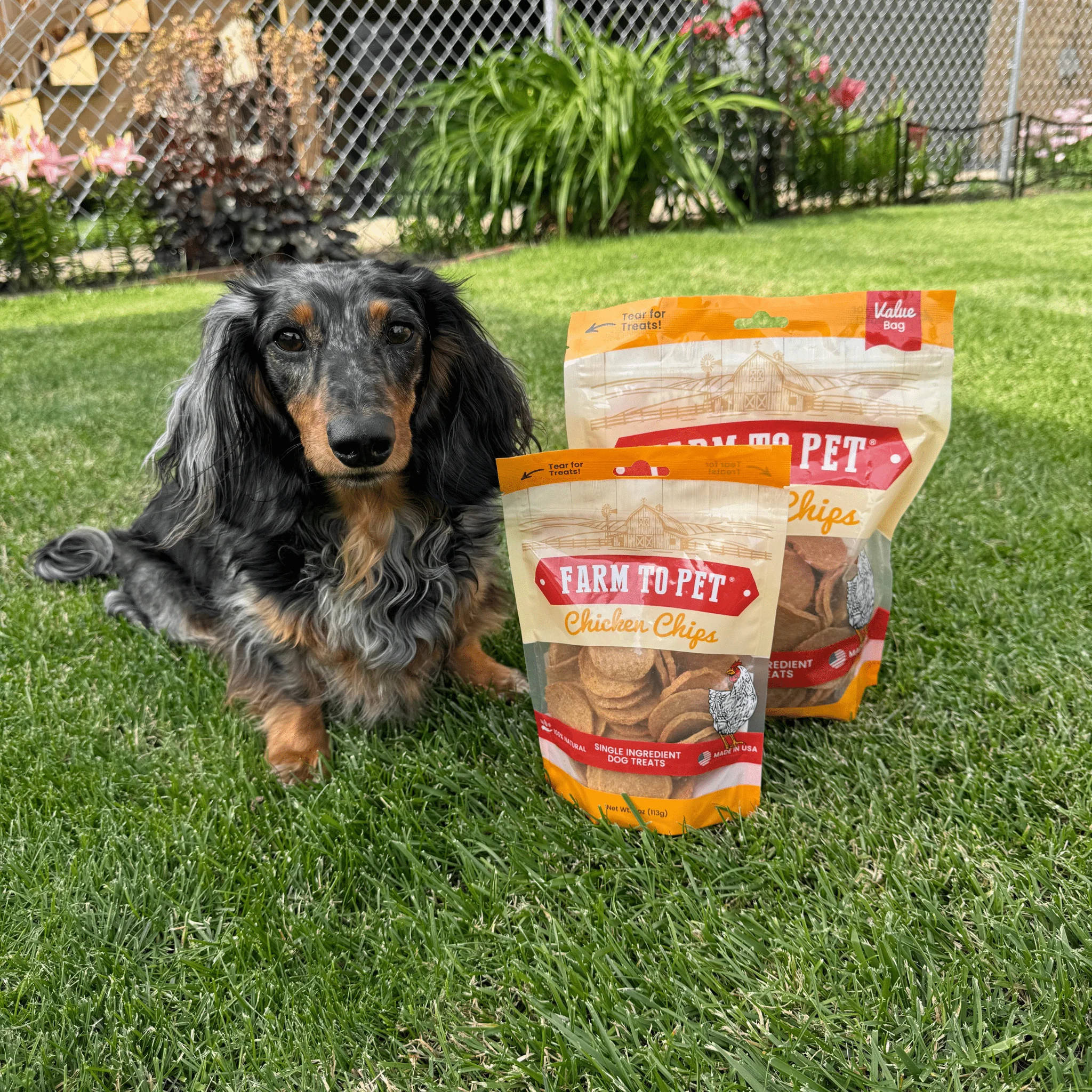 Farm To Pet All-Natural Single-Ingredient Chicken Chips Dog Treats - Image 9