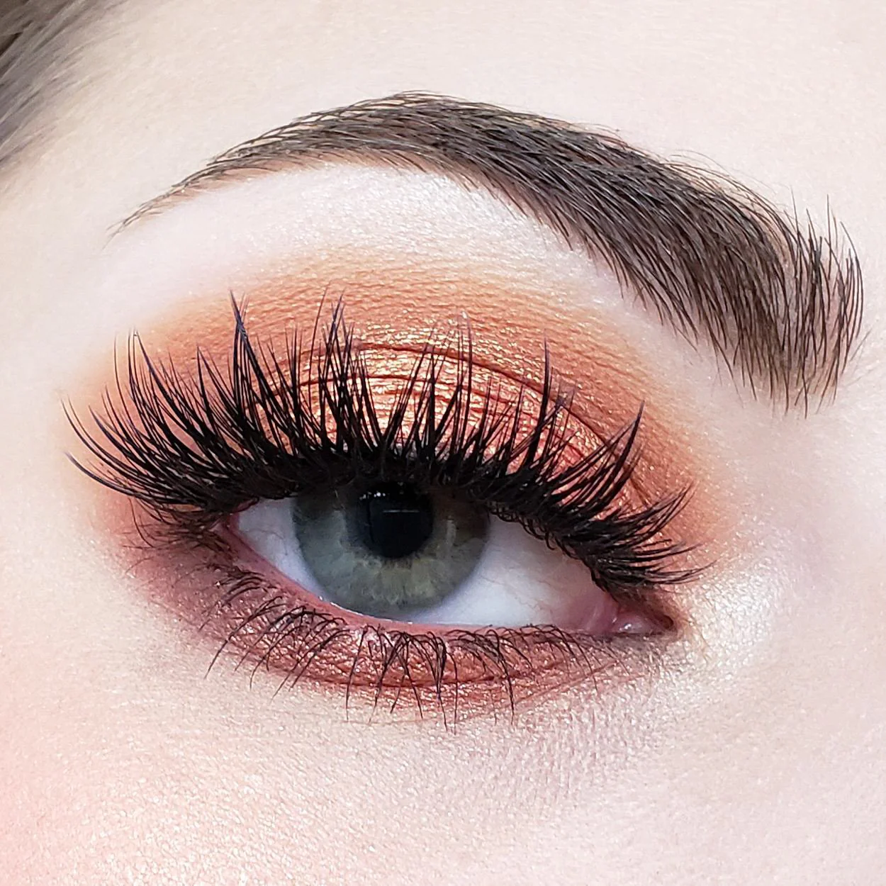 Crown Brush Pro 10 Color Fuego Eyeshadow Palette - Image 5