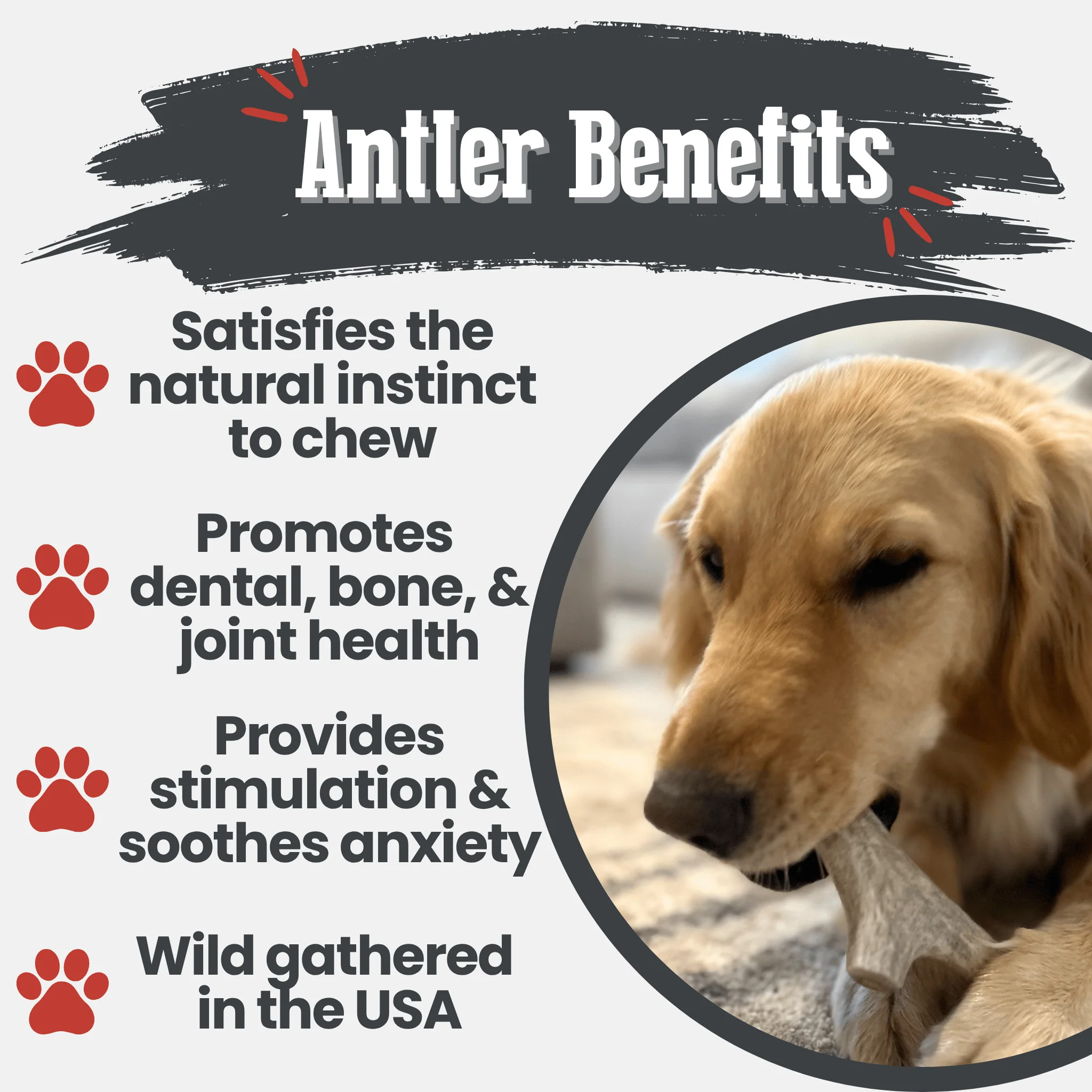 Farm To Pet Choice of Organic Deer Antler Dog Chew - Image 10
