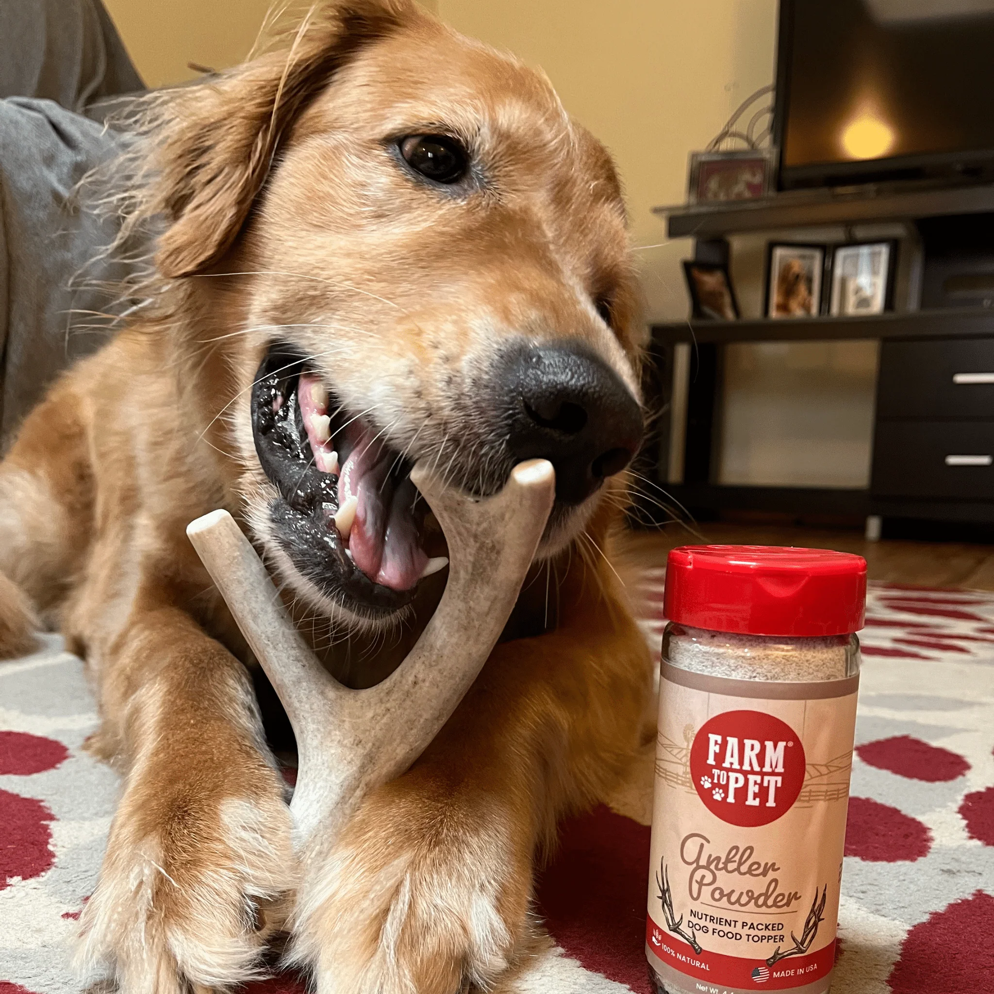Farm To Pet Choice of Organic Deer Antler Dog Chew - Image 8