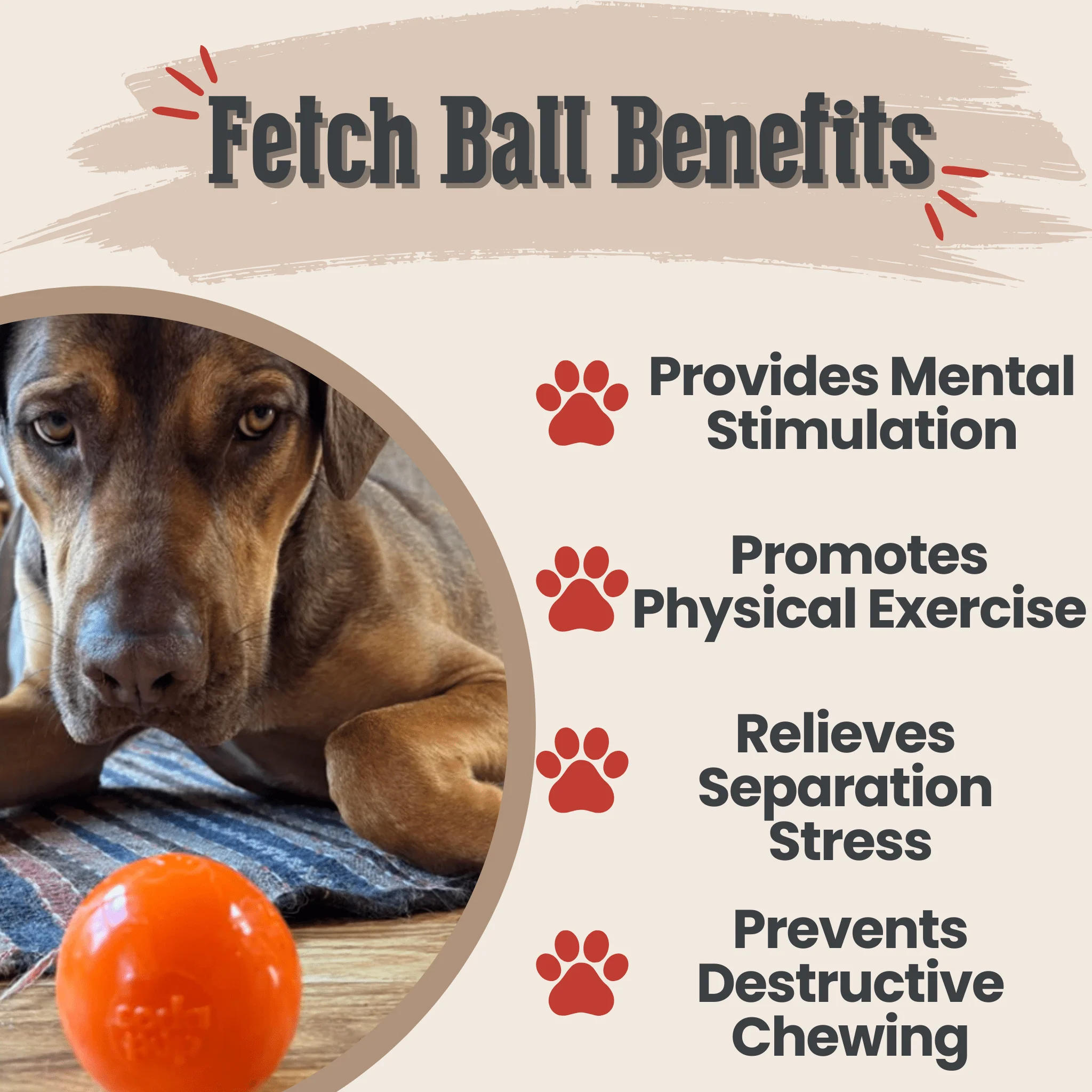 Farm To Pet Choice of Dog Ball - Image 11